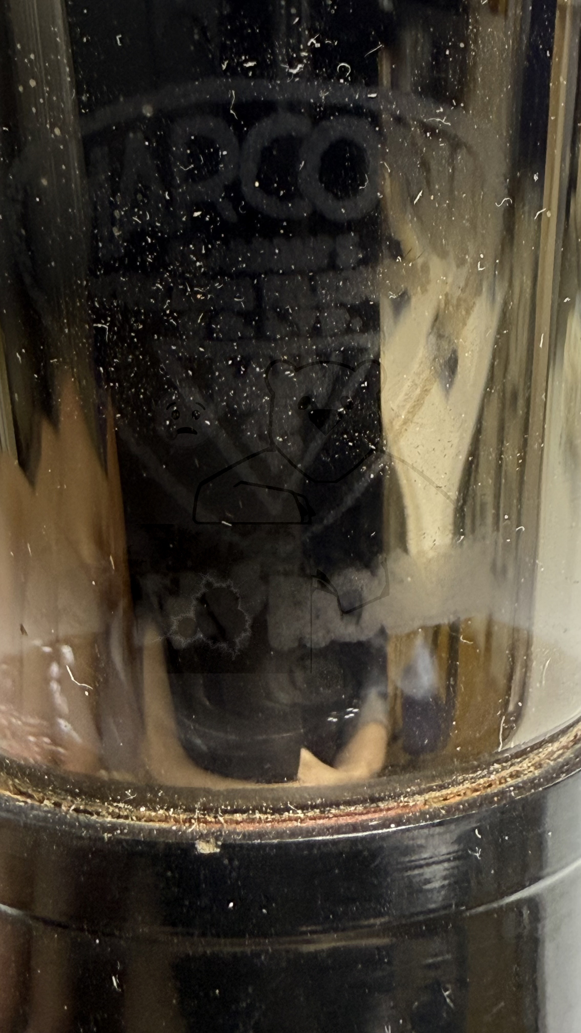 Röhre LP2 #8375 Bild 6