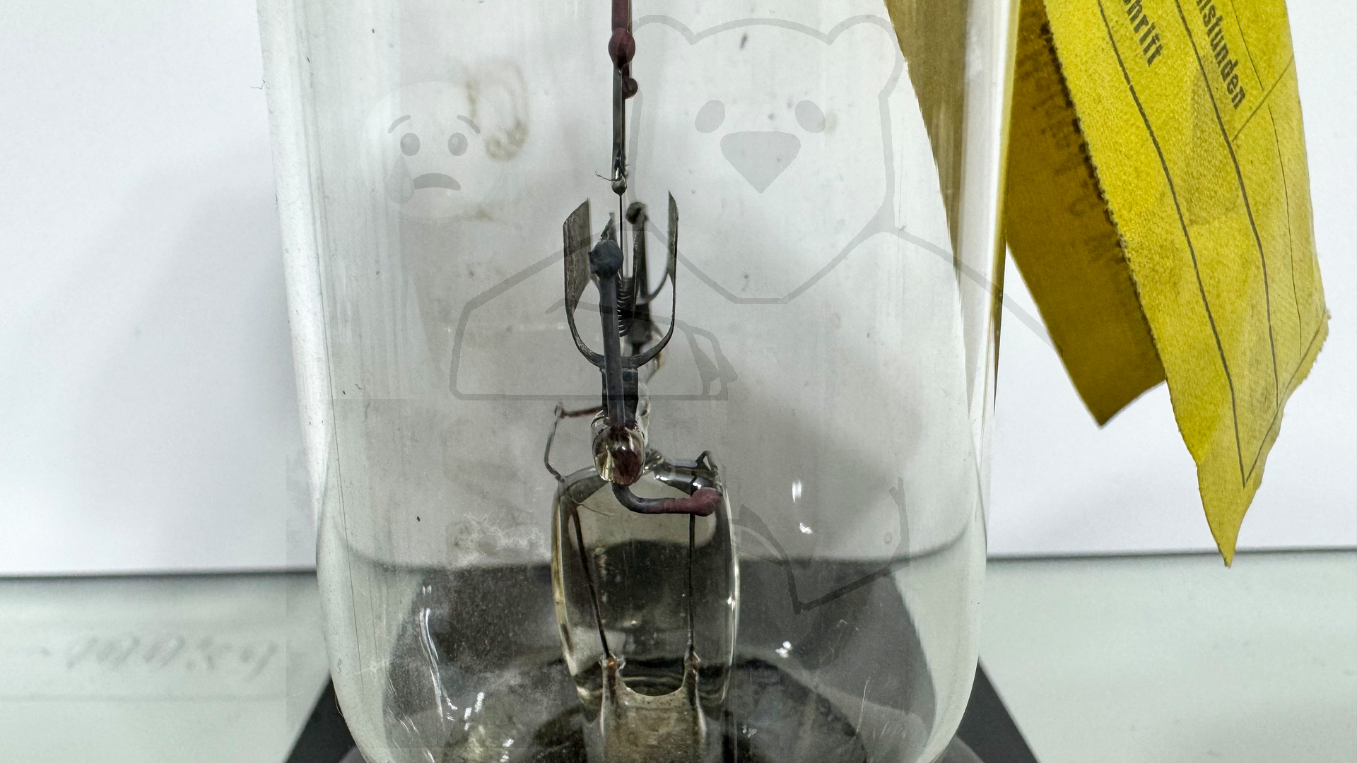 Röhre M Poströhre Siemens #7773 Bild 5