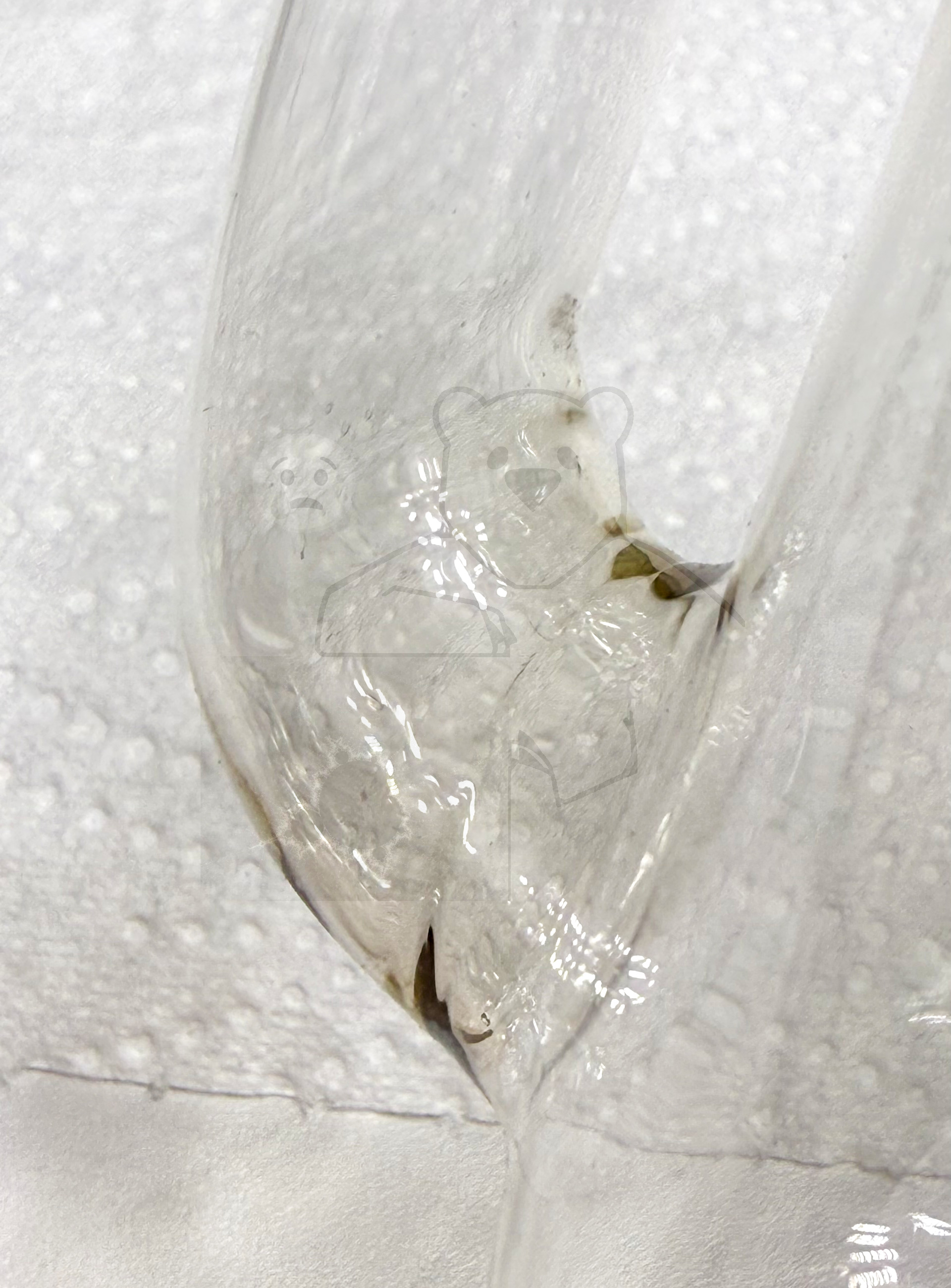 Röhre Neon Gleichrichter 3000V #5885 Bild 22