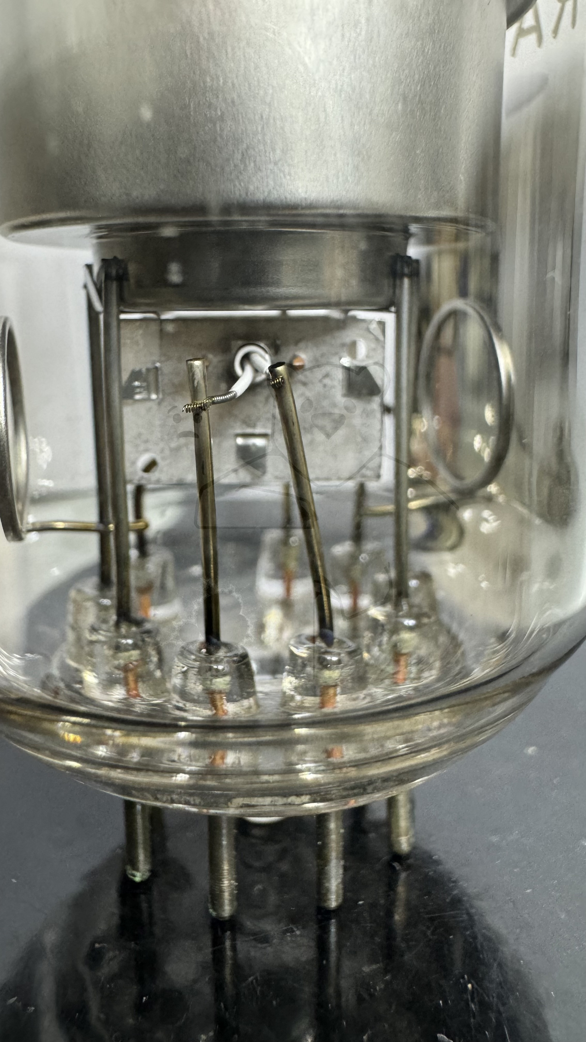 Röhre PD500 #4500 Bild 5