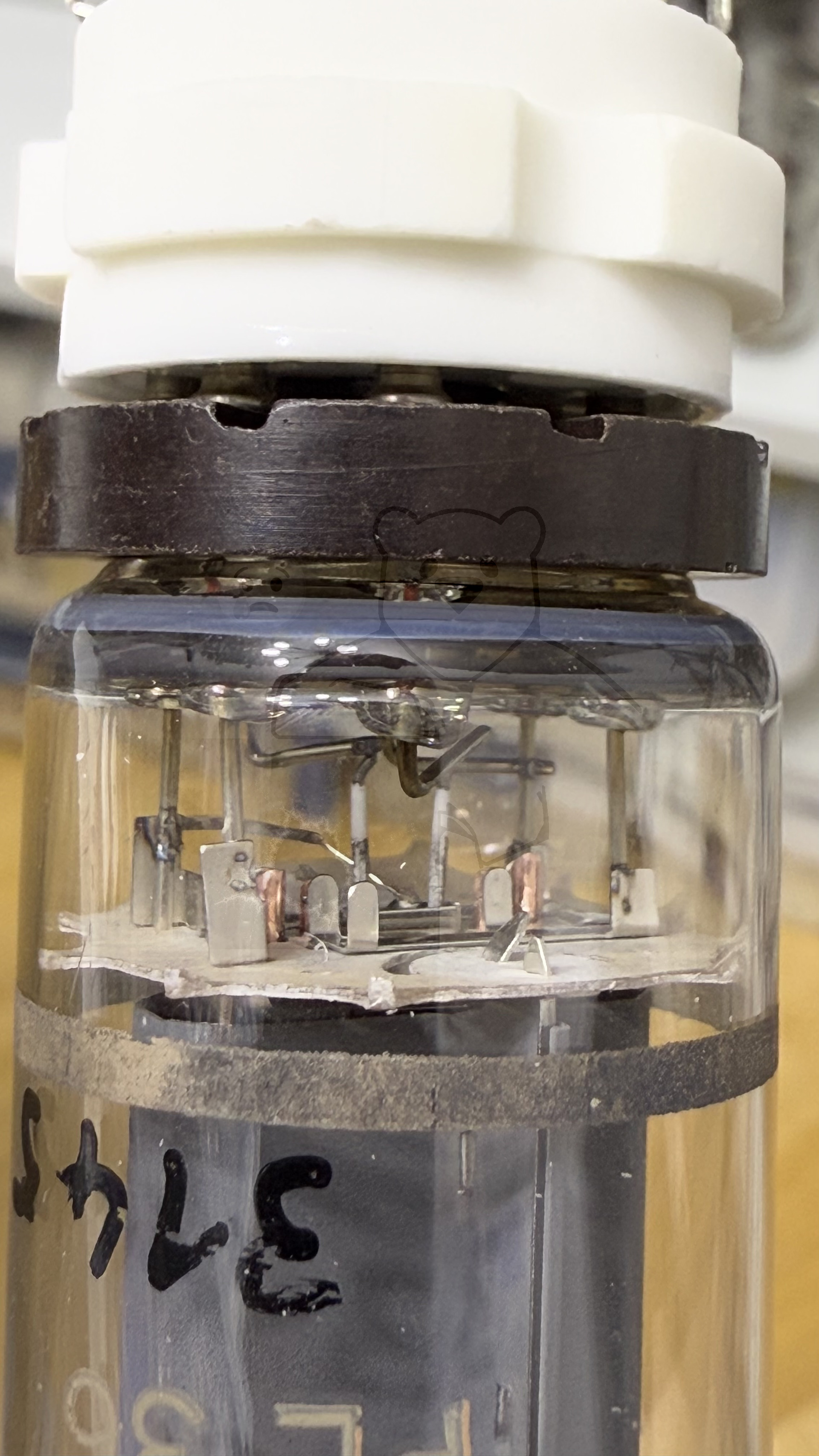 Röhre PL36 #3145 Bild 18