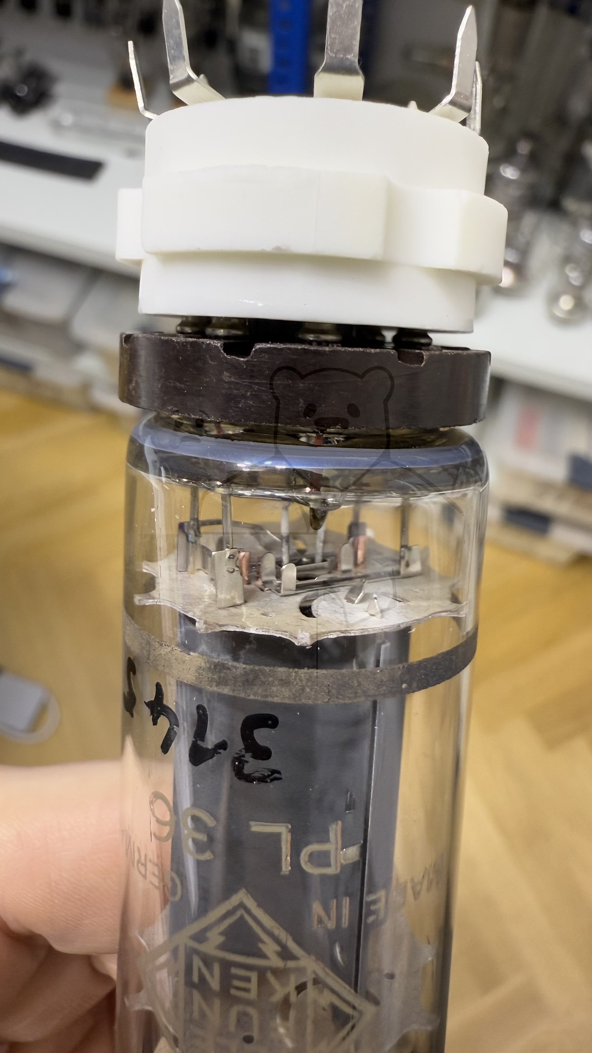 Röhre PL36 #3145 Bild 19