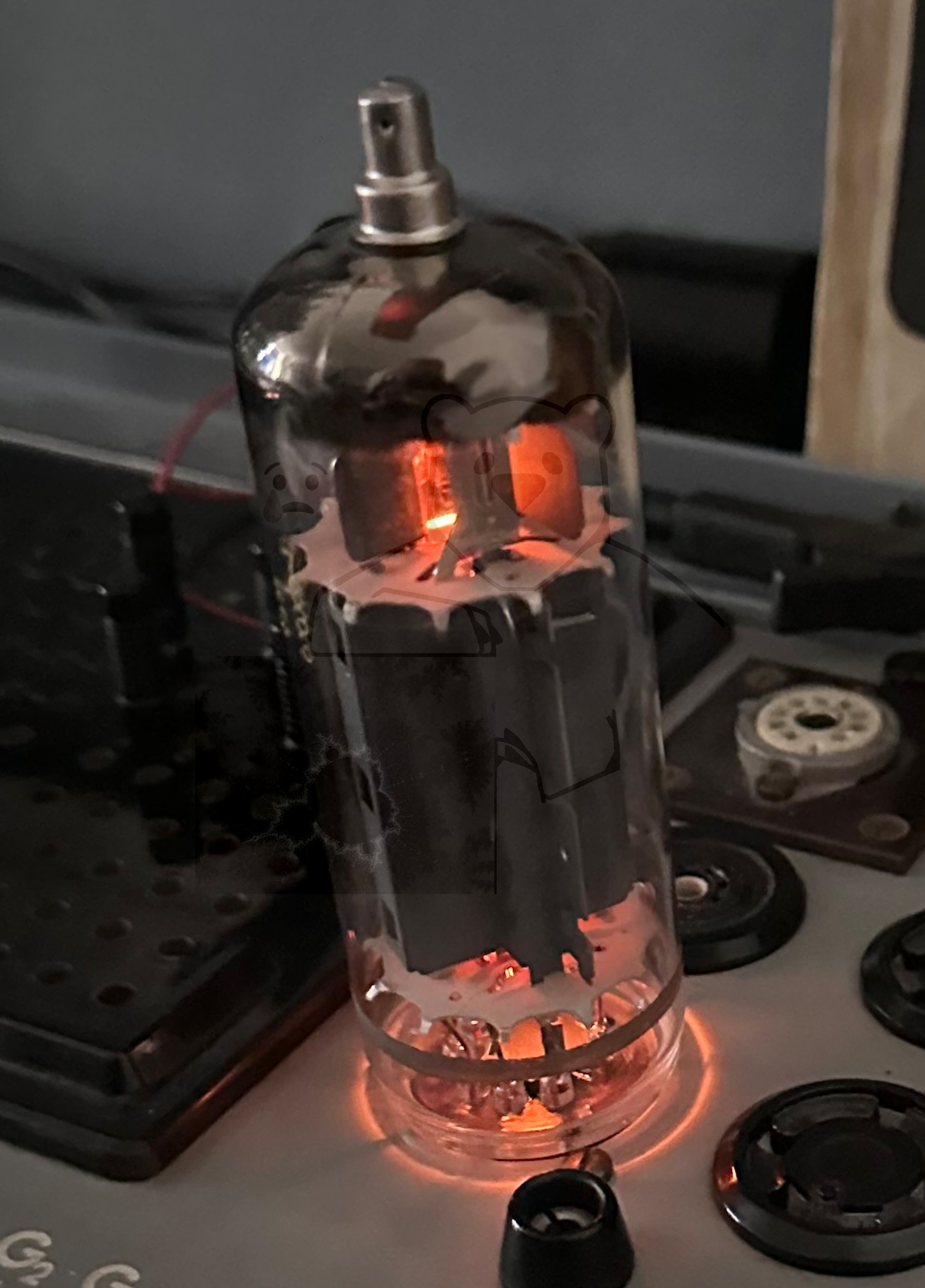 Röhre PL519 #7343 In Betrieb Bild 1