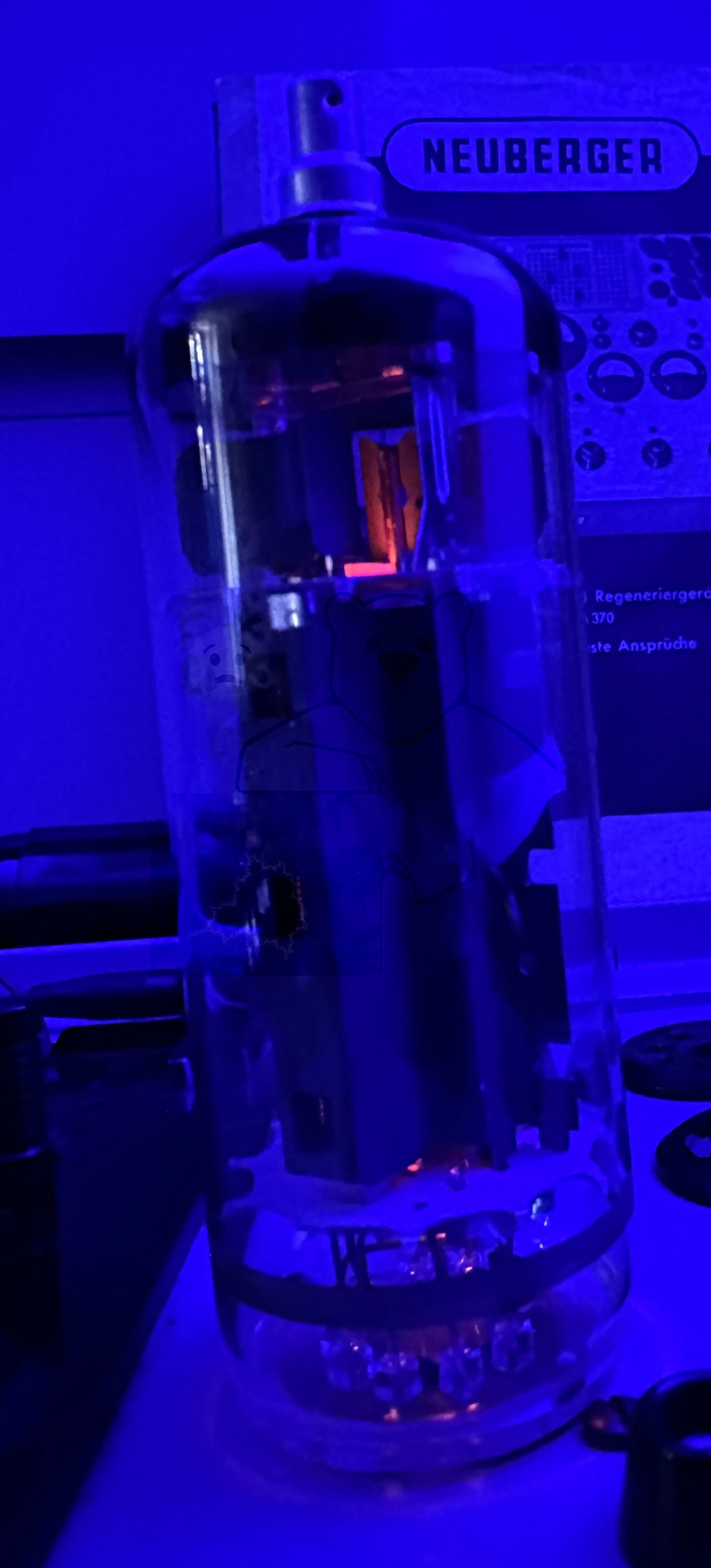 Röhre PL519 #7343 In Betrieb Bild 2