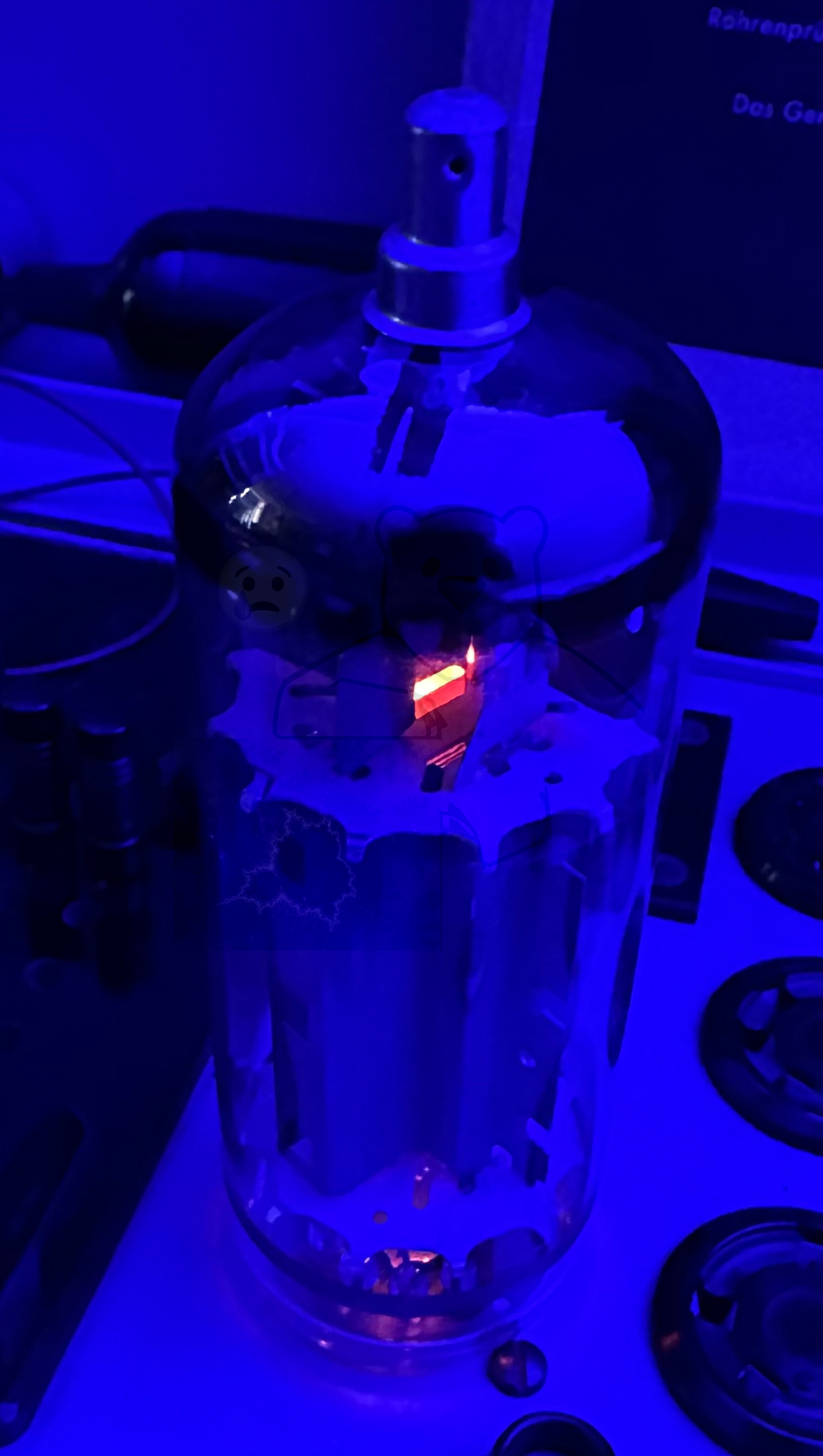 Röhre PL519 #7343 In Betrieb Bild 3