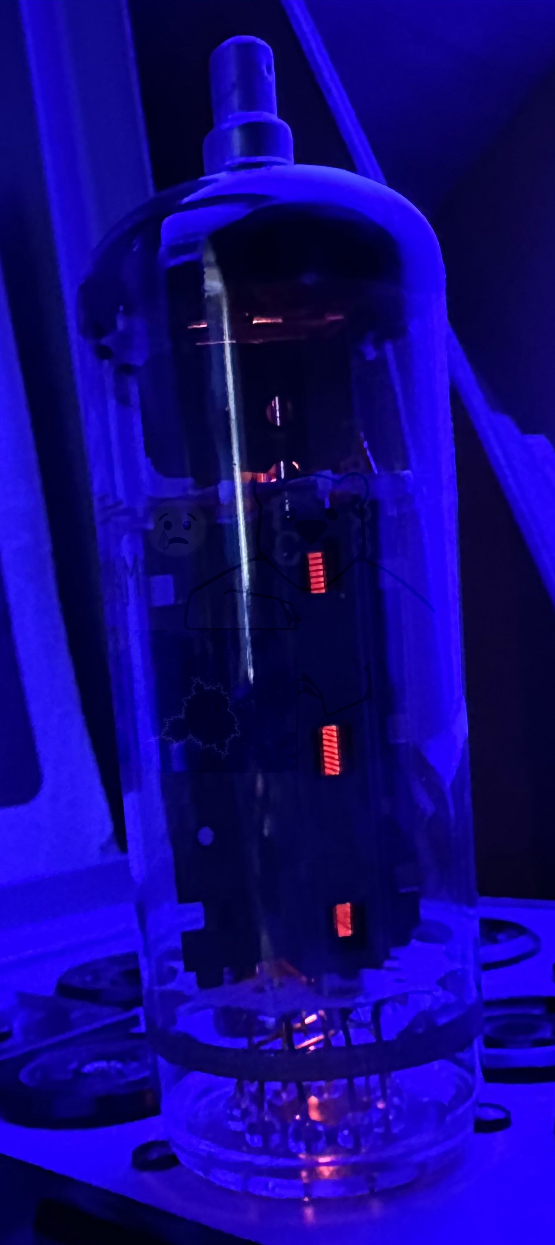 Röhre PL519 #7343 In Betrieb Bild 4