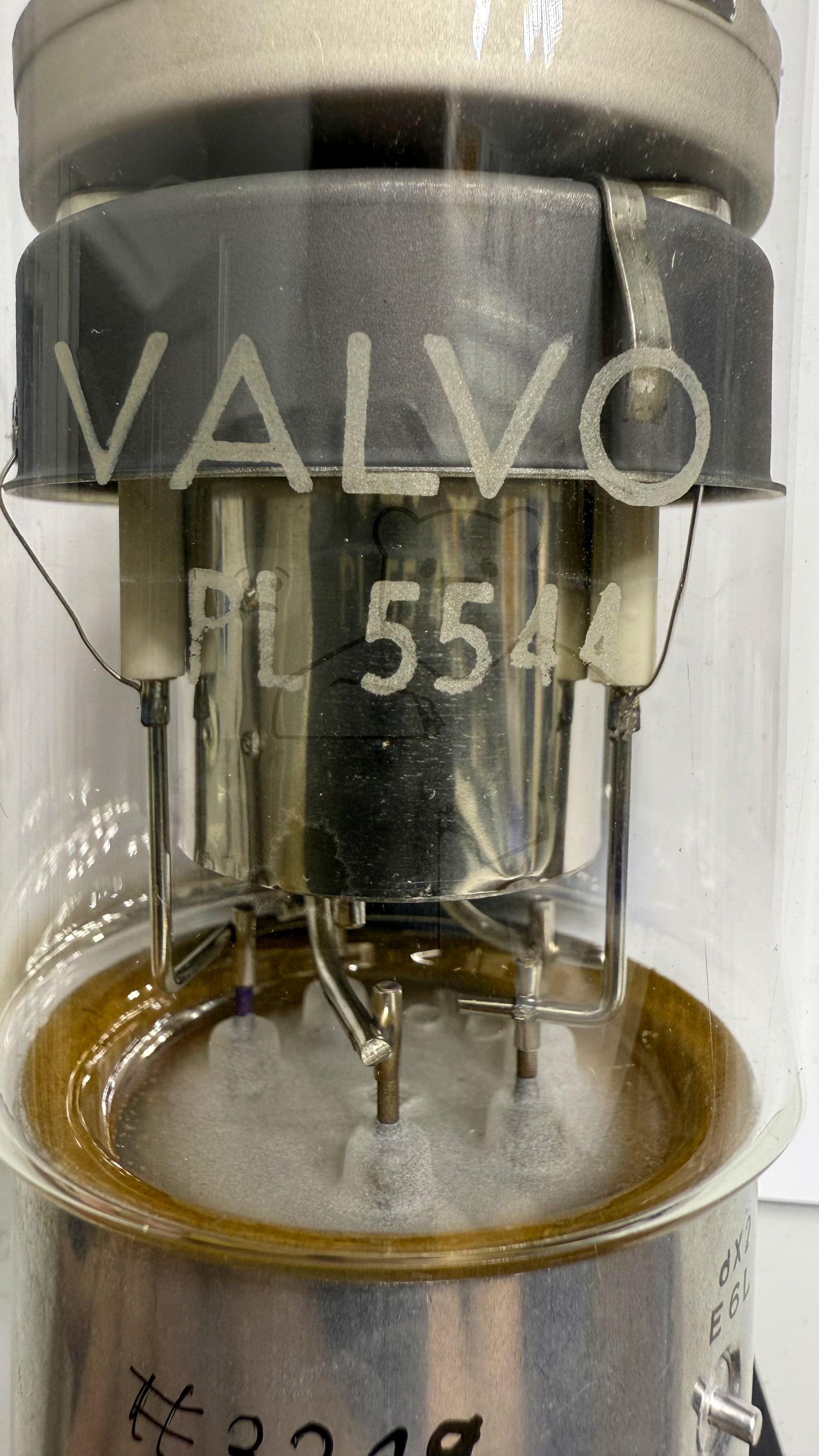 Röhre PL5544 #3219 Bild 2