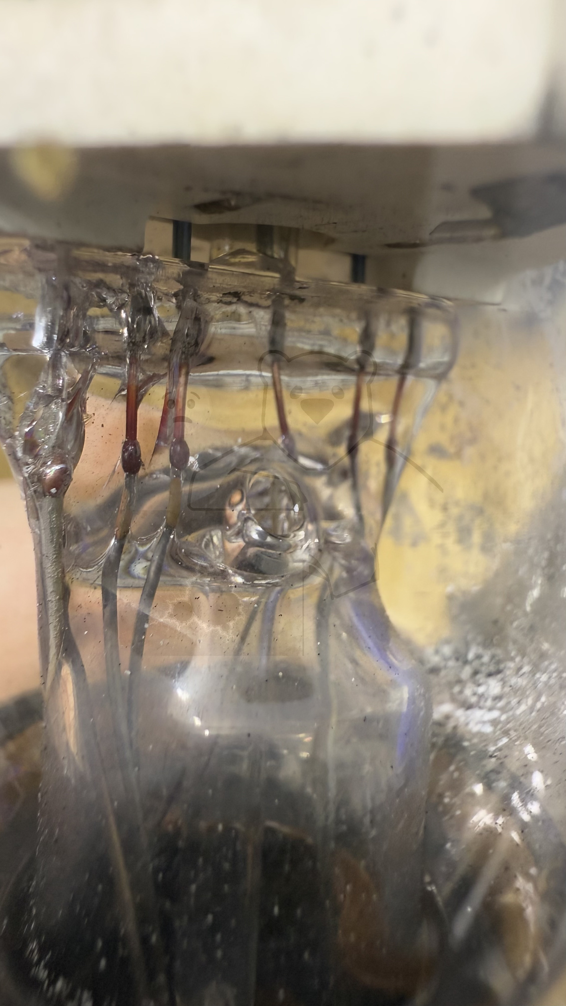 Röhre PL57 #8003 Bild 7