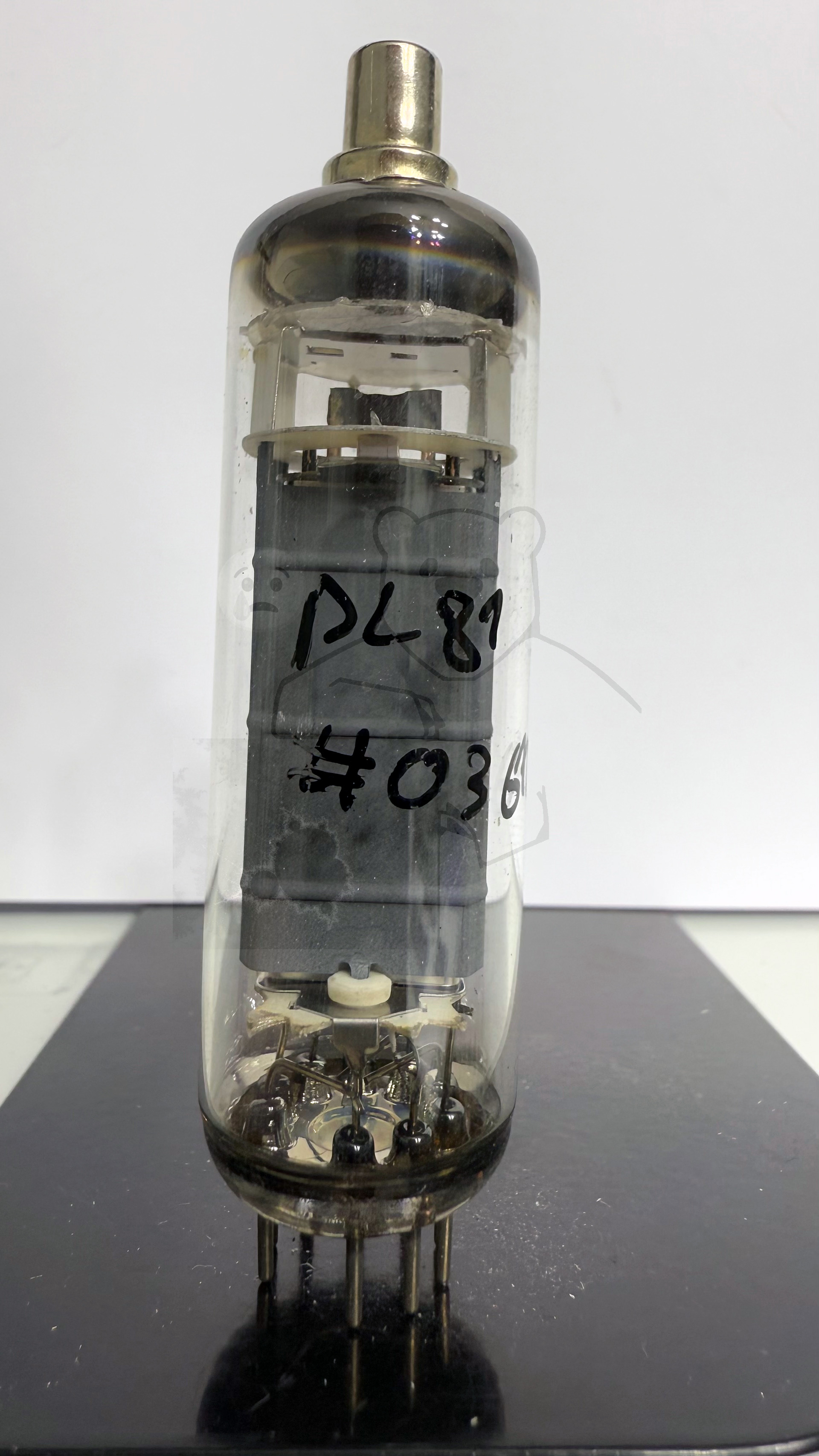 Röhre PL81 #0361 Bild 1