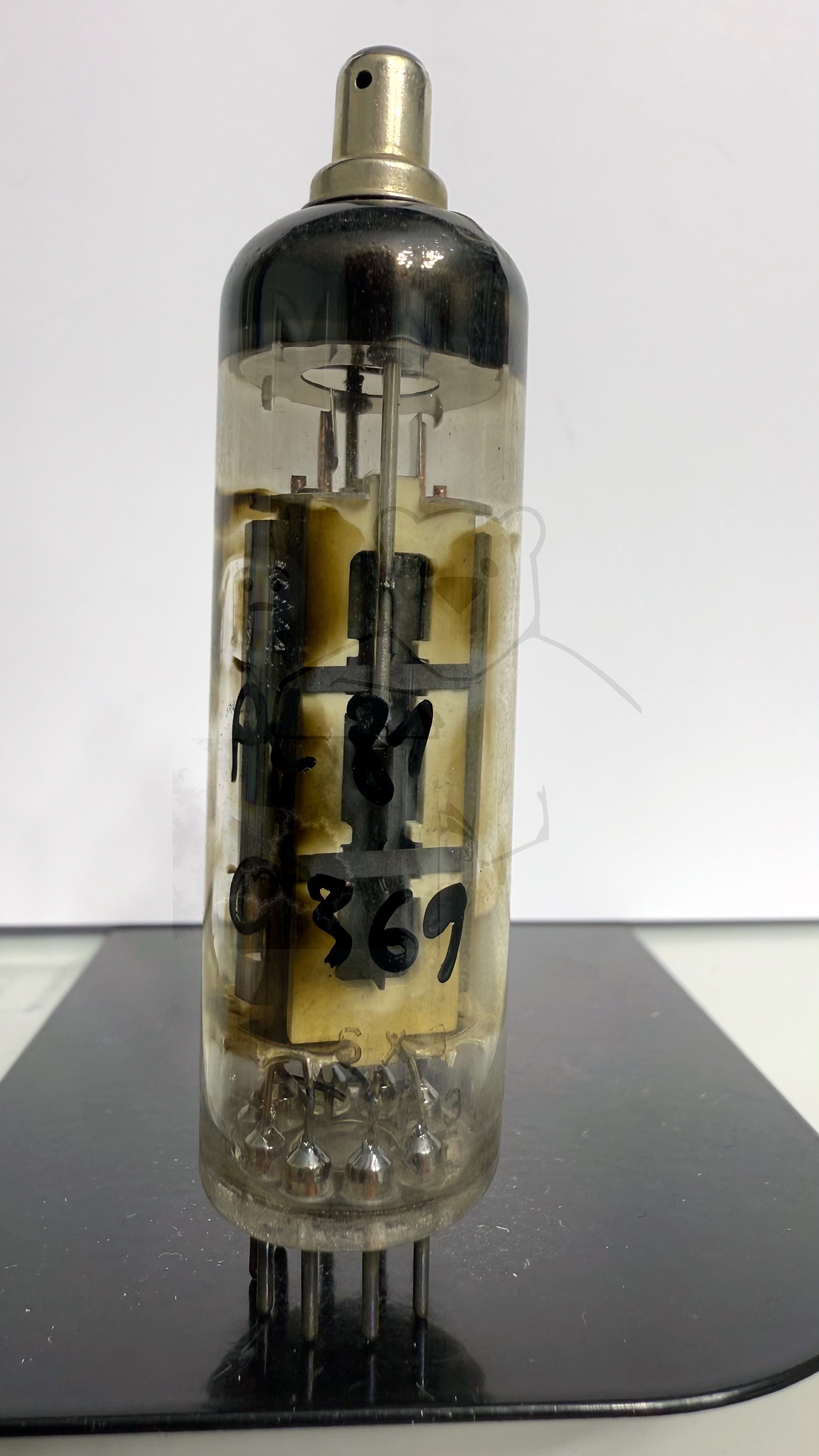 Röhre PL81 #0369 Bild 1