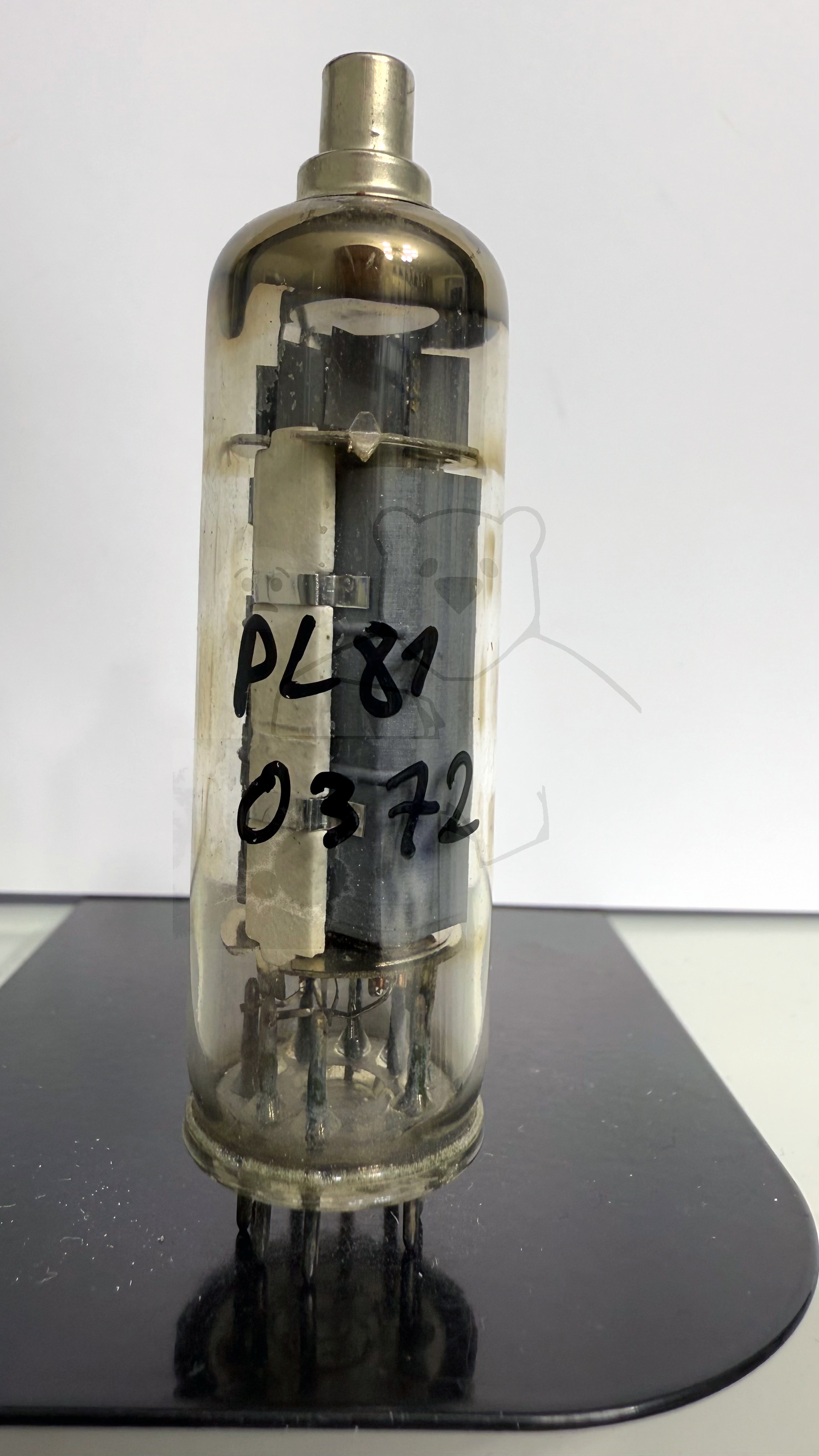 Röhre PL81 #0372 Bild 1