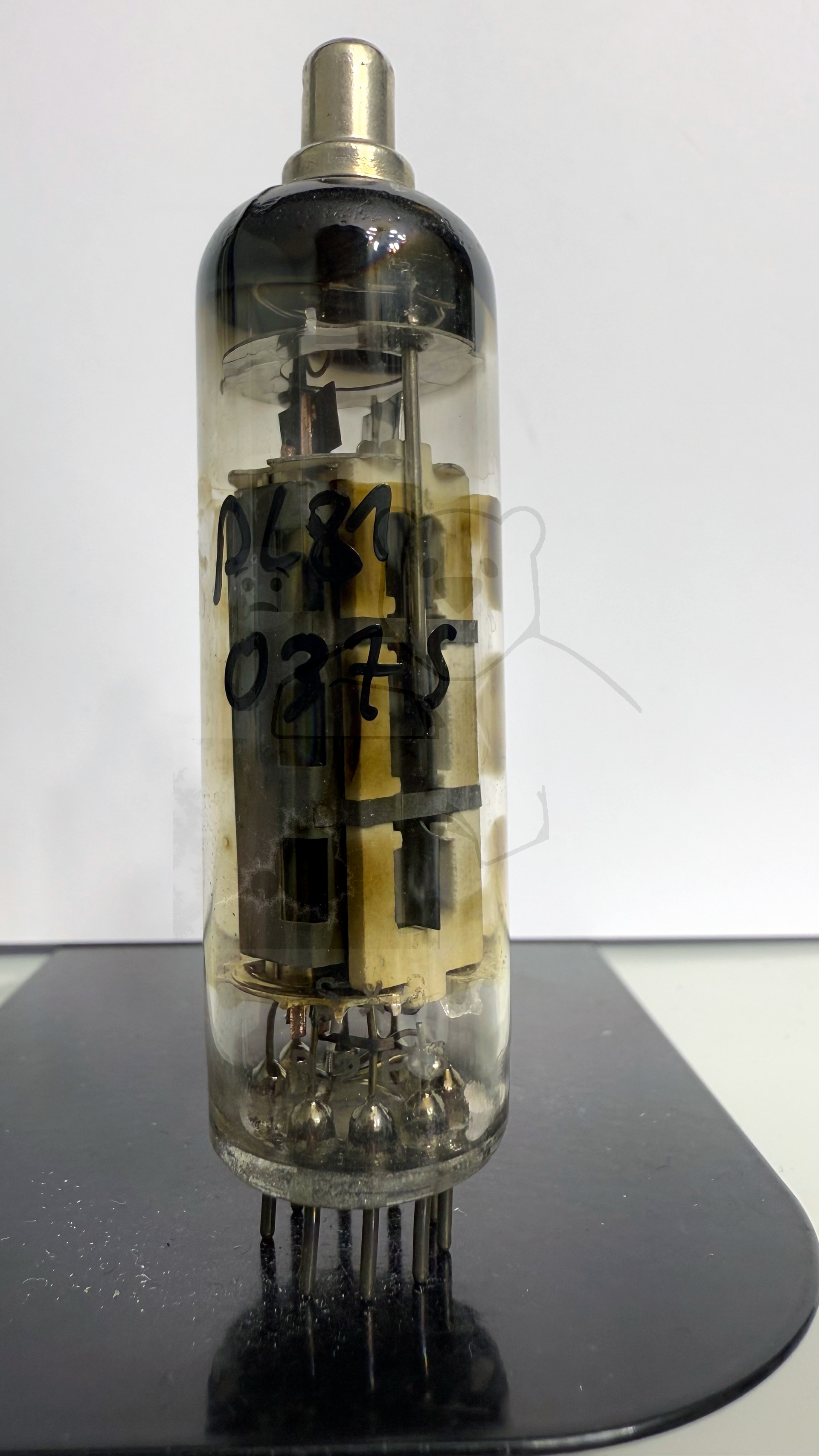 Röhre PL81 #0375 Bild 1