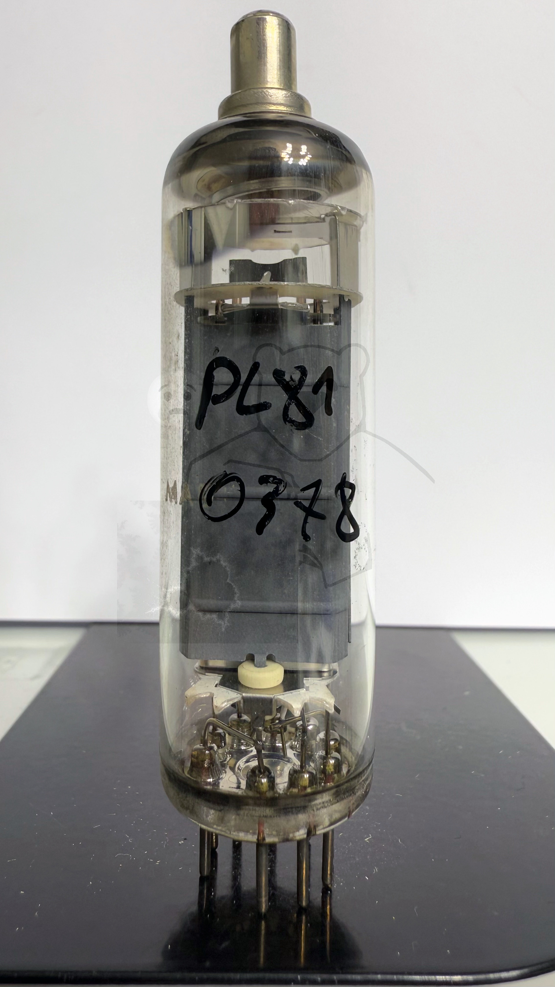 Röhre PL81 #0378 Bild 1