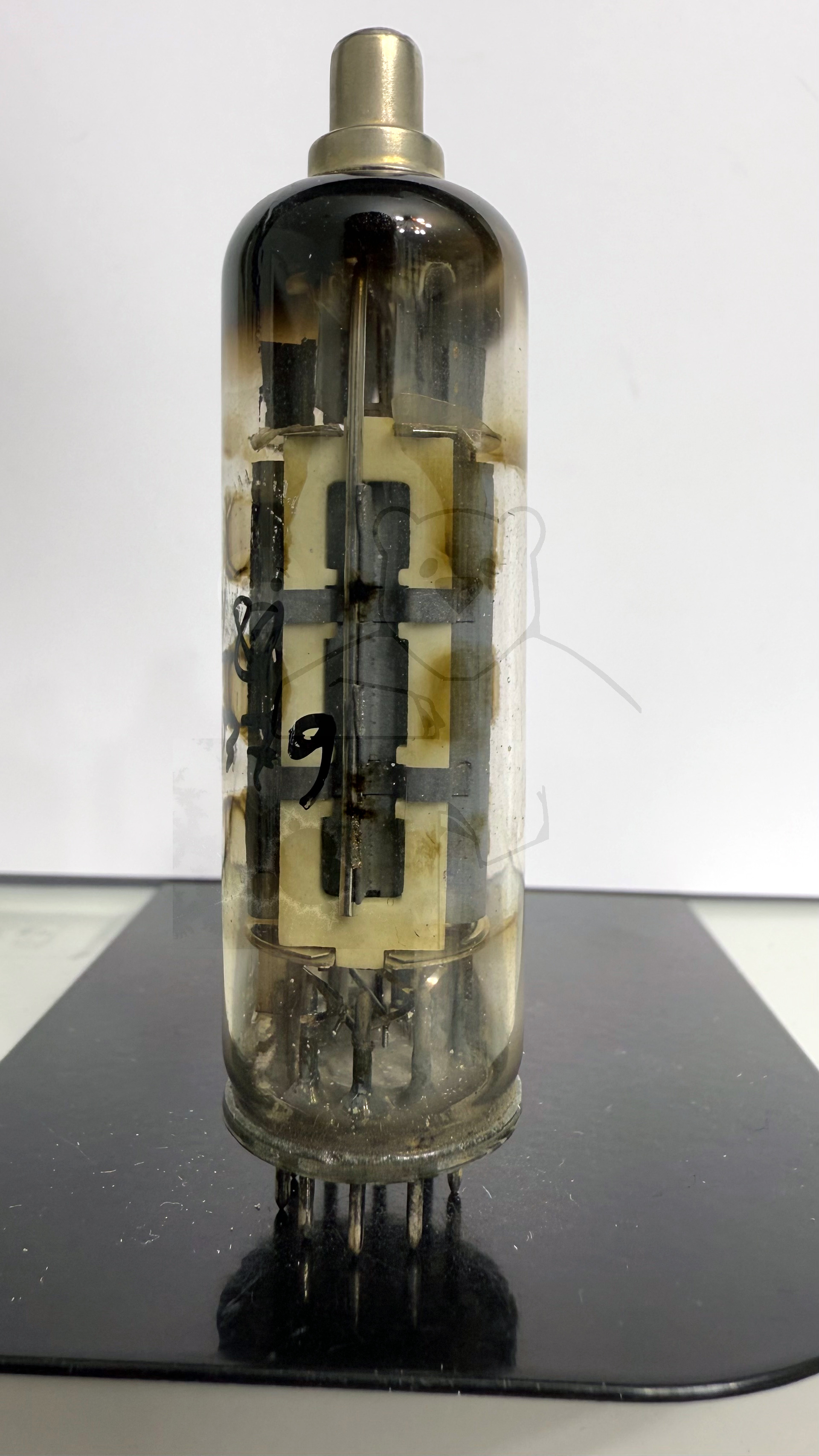 Röhre PL81 #0379 Bild 1