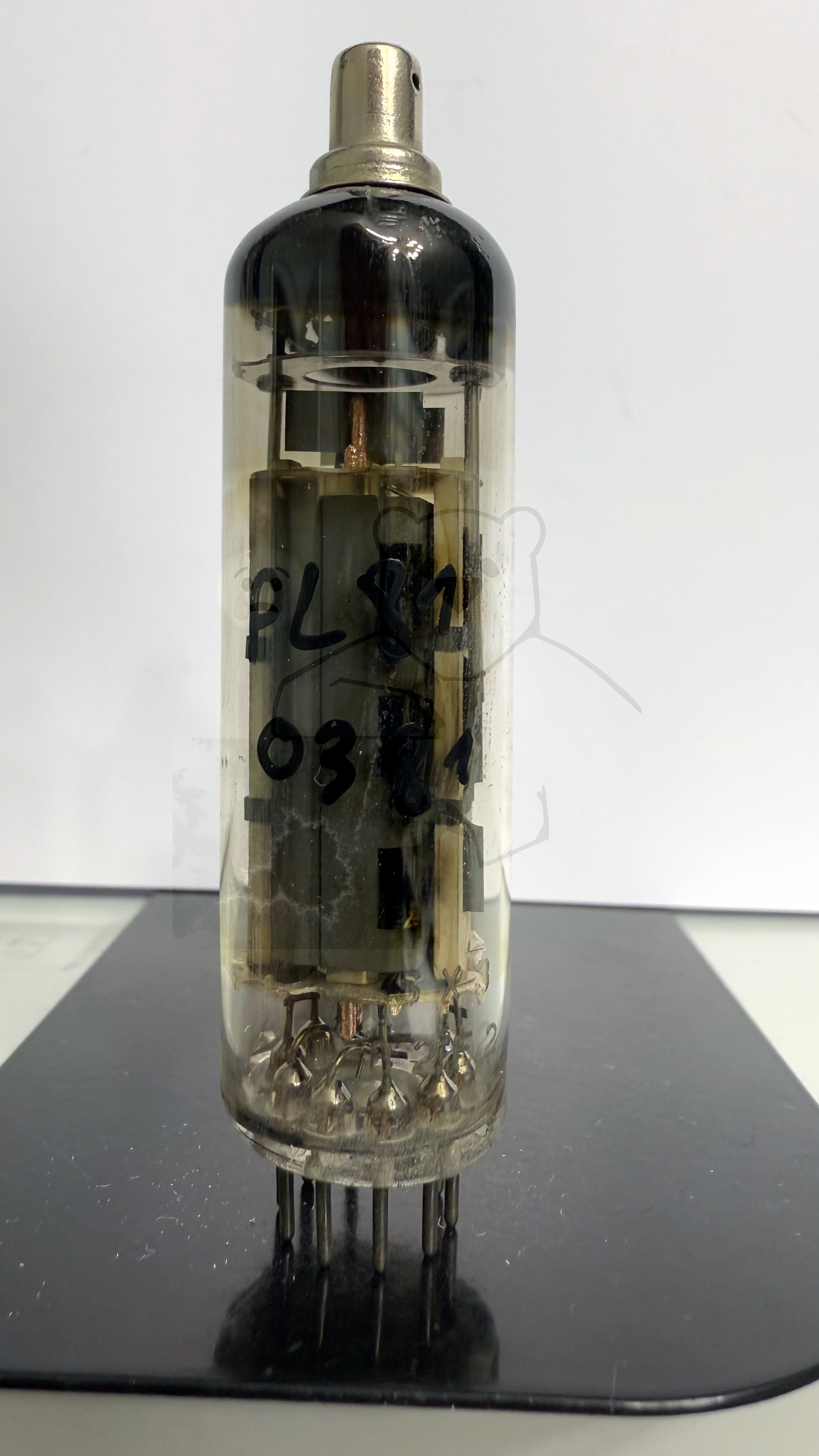 Röhre PL81 #0381 Bild 1