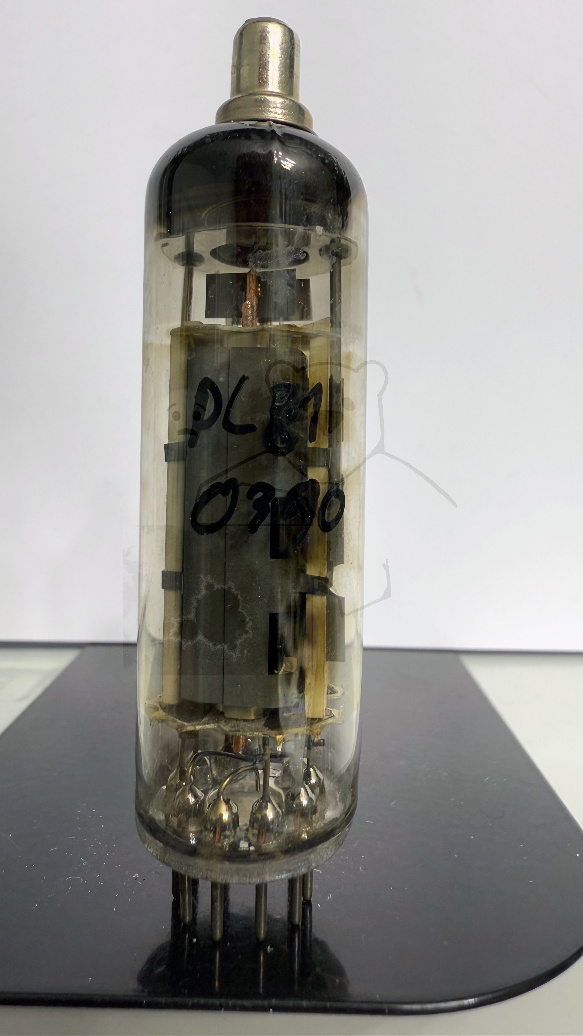 Röhre PL81 #0390 Bild 1