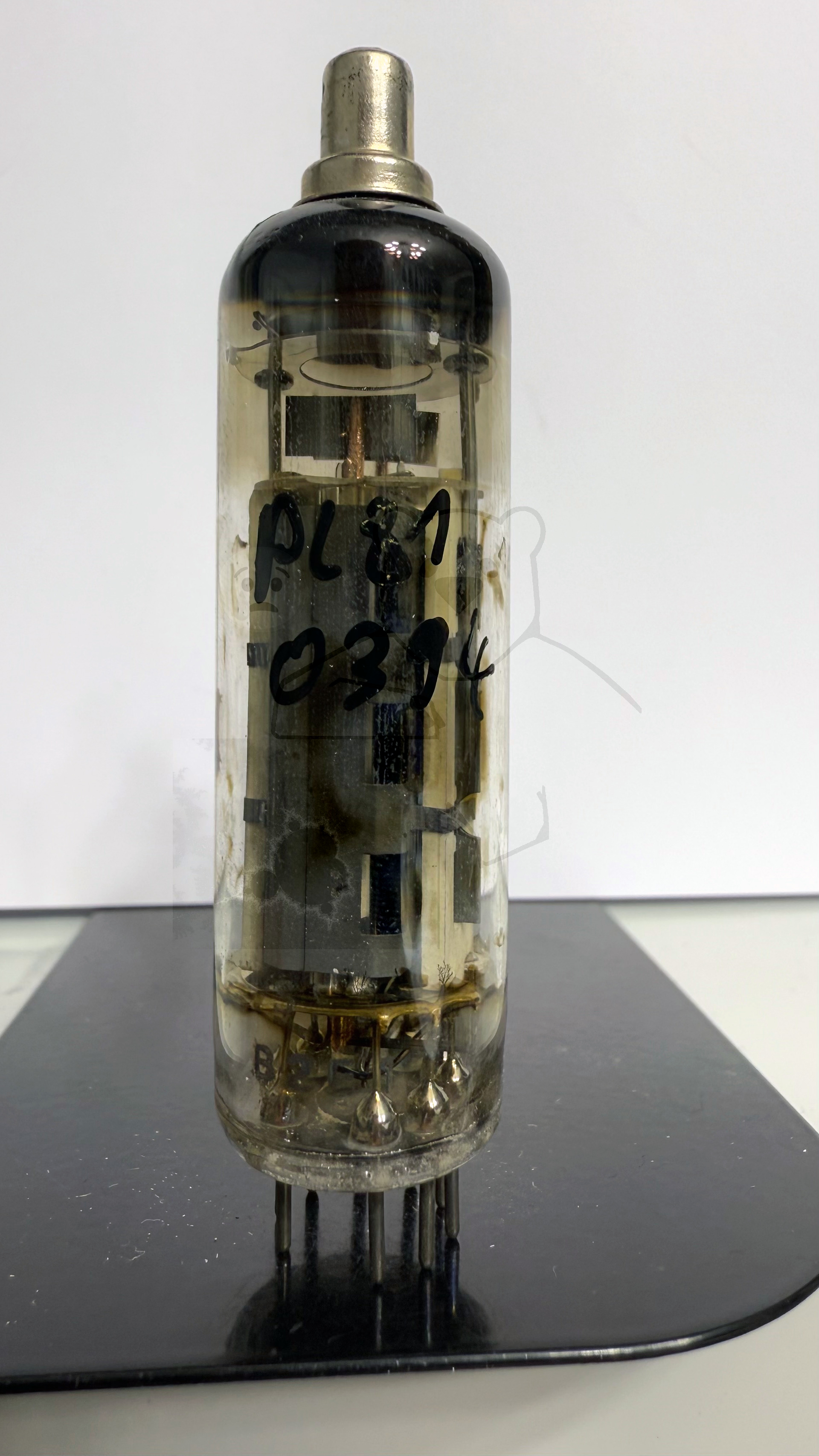 Röhre PL81 #0394 Bild 1