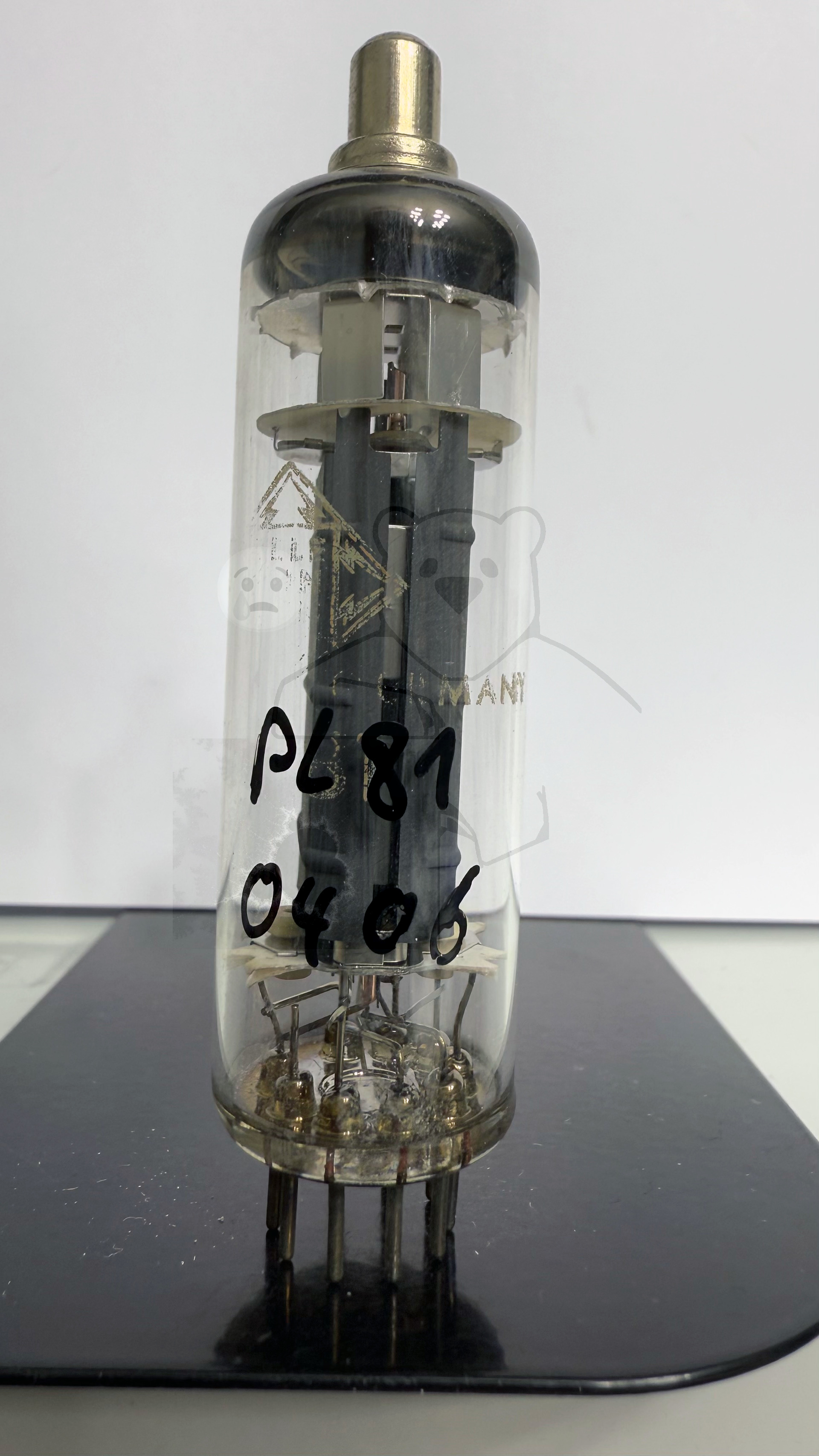 Röhre PL81 #0406 Bild 1