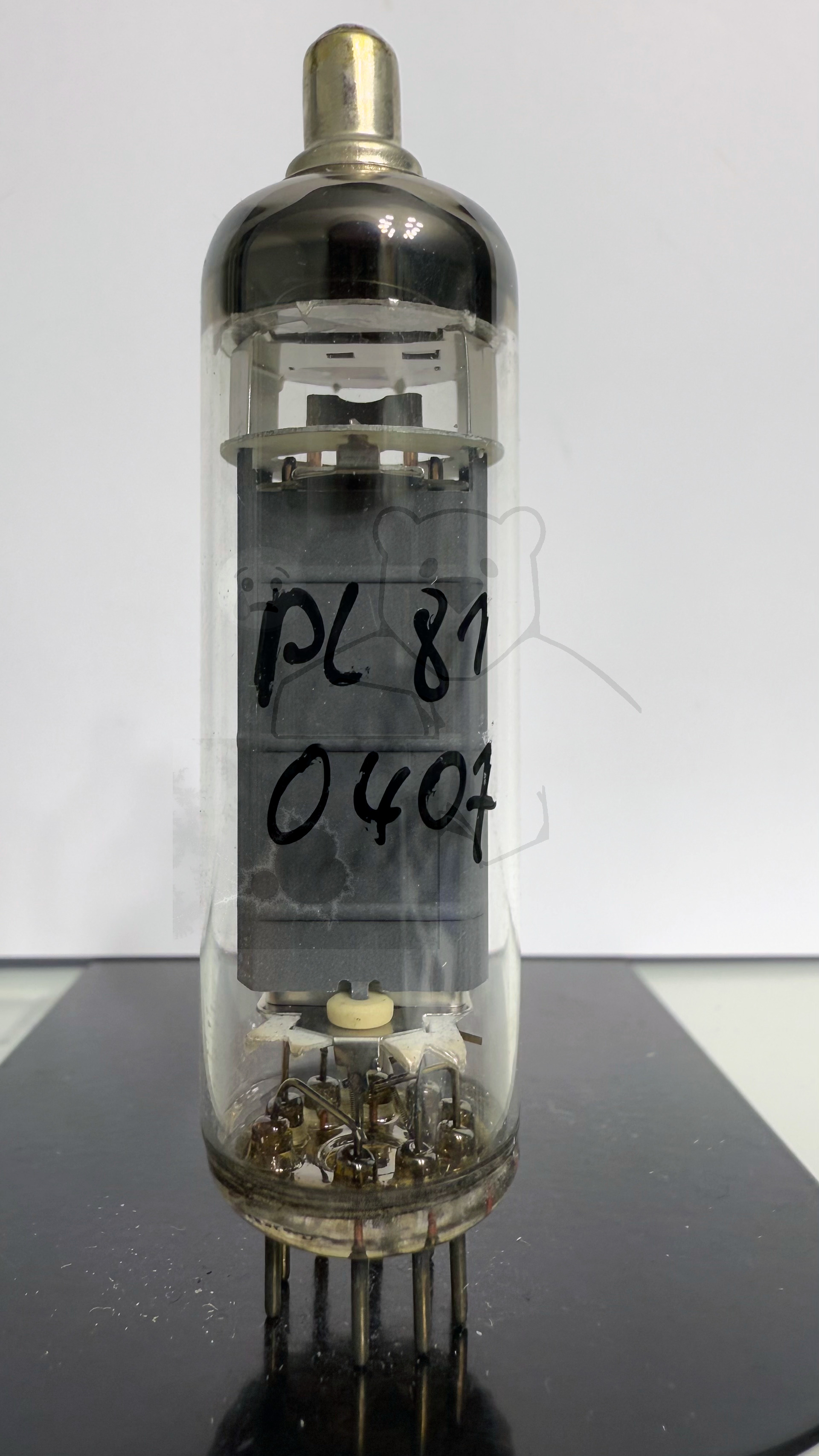 Röhre PL81 #0407 Bild 1