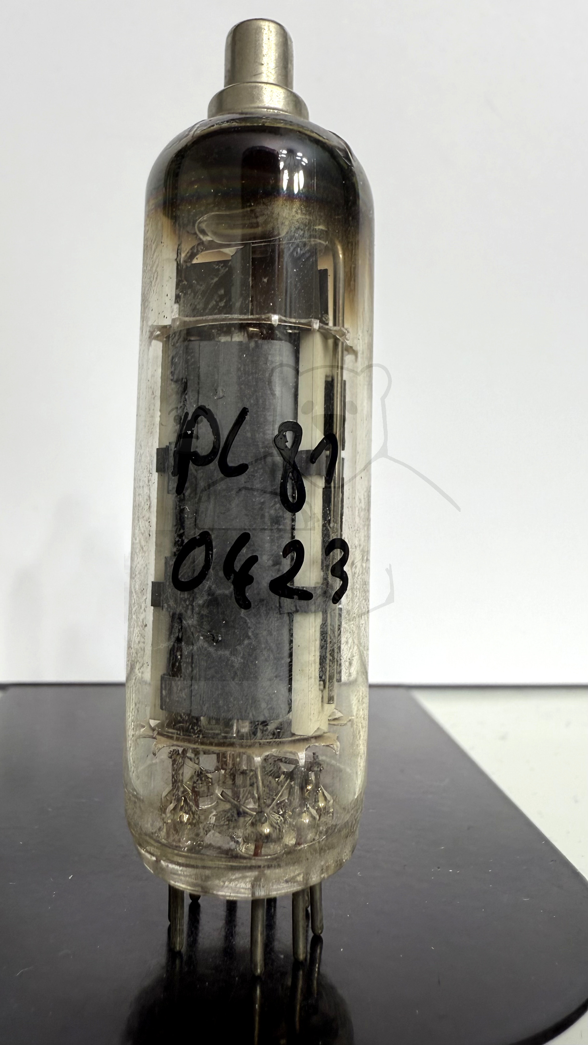 Röhre PL81 #0423 Bild 1