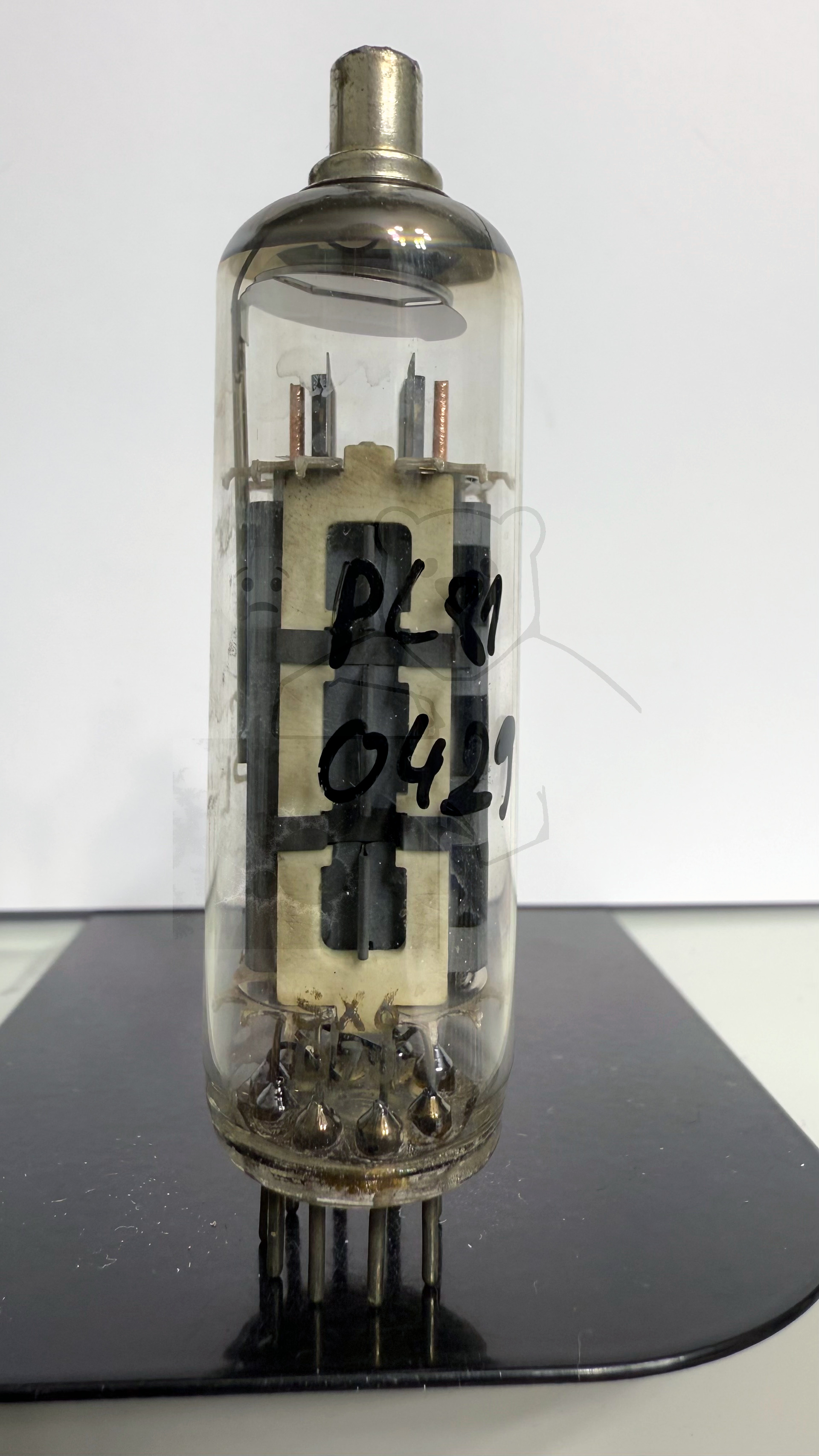 Röhre PL81 #0429 Bild 1