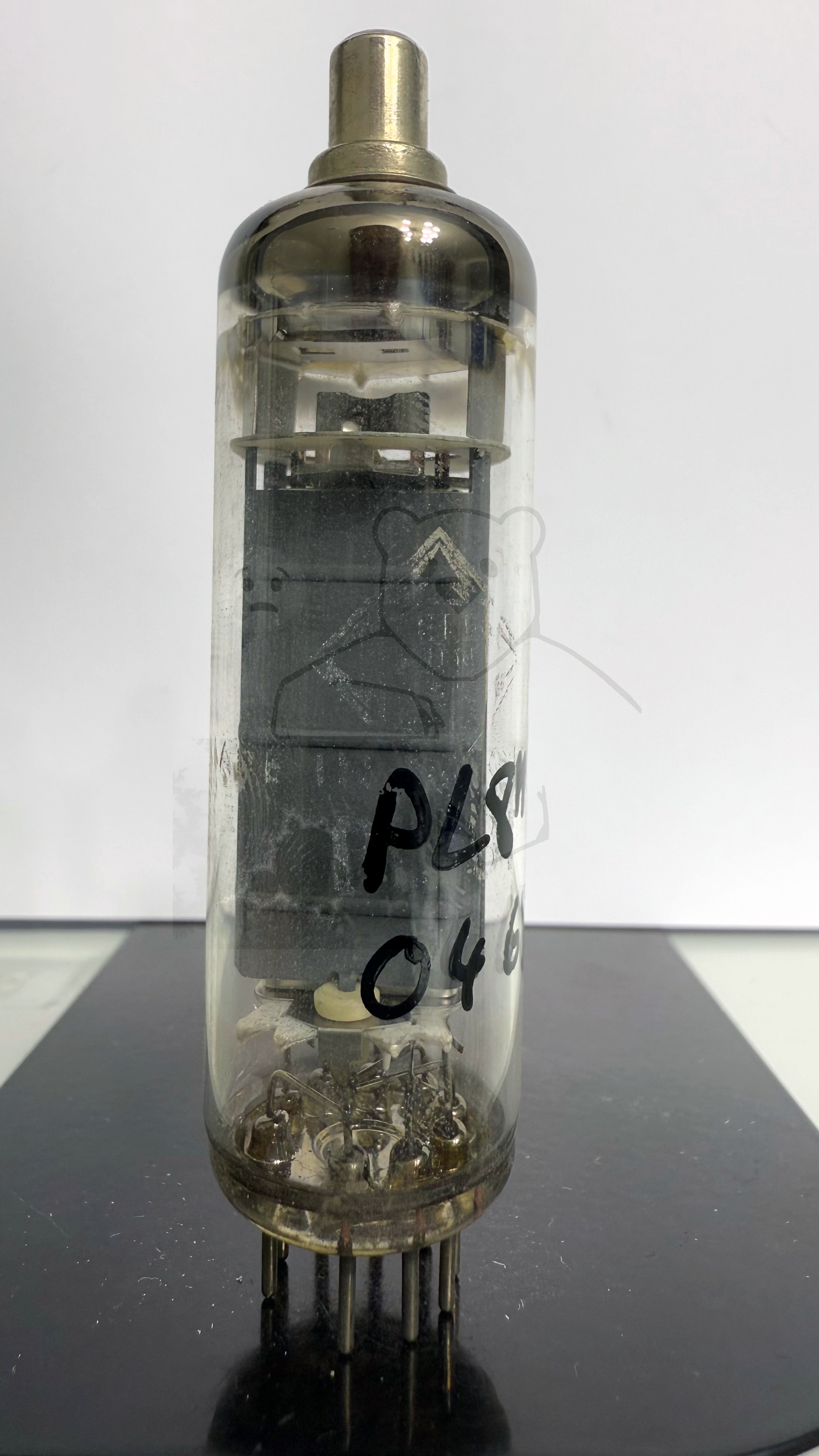 Röhre PL81 #0468 Bild 1