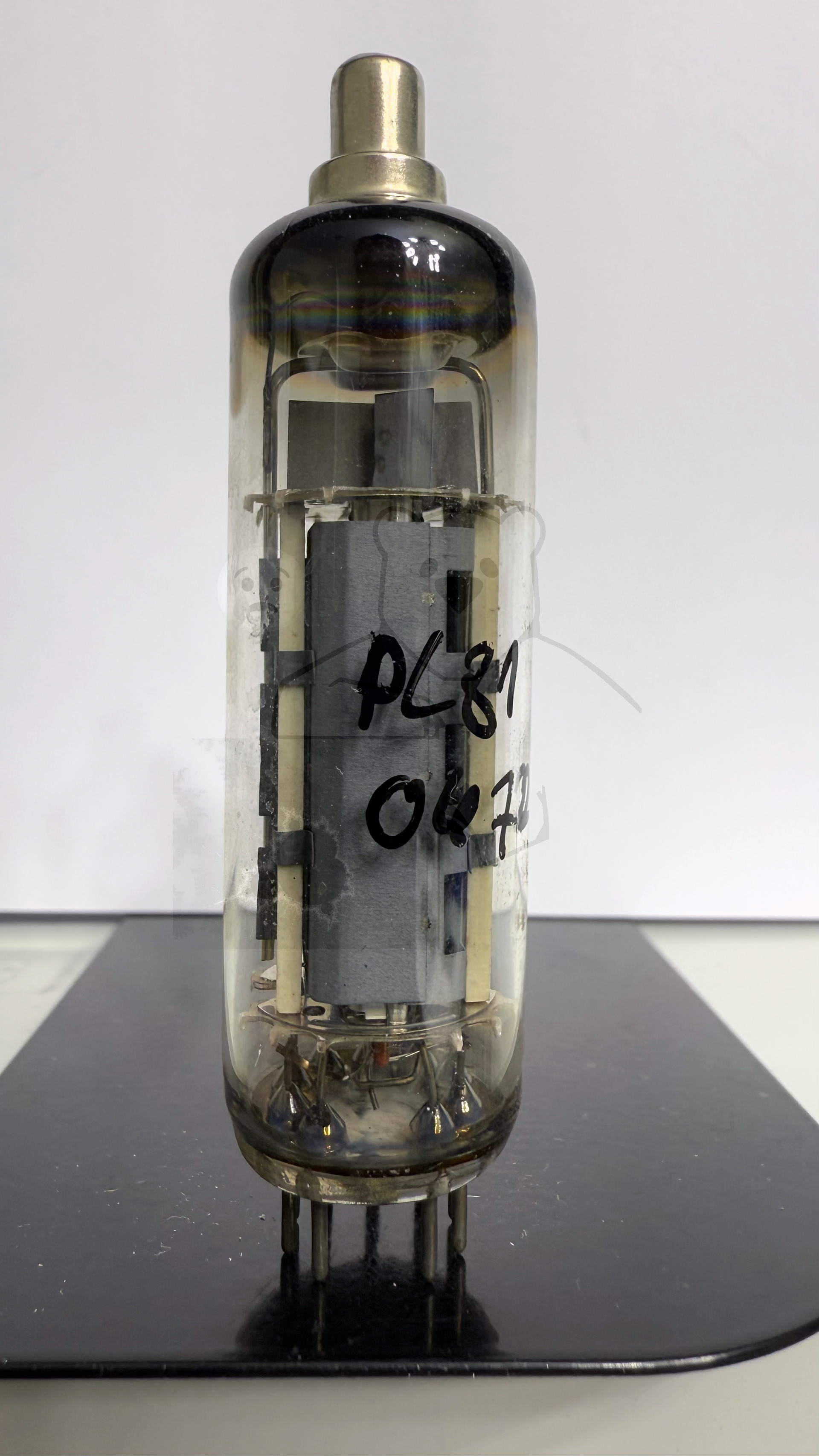 Röhre PL81 #0472 Bild 1