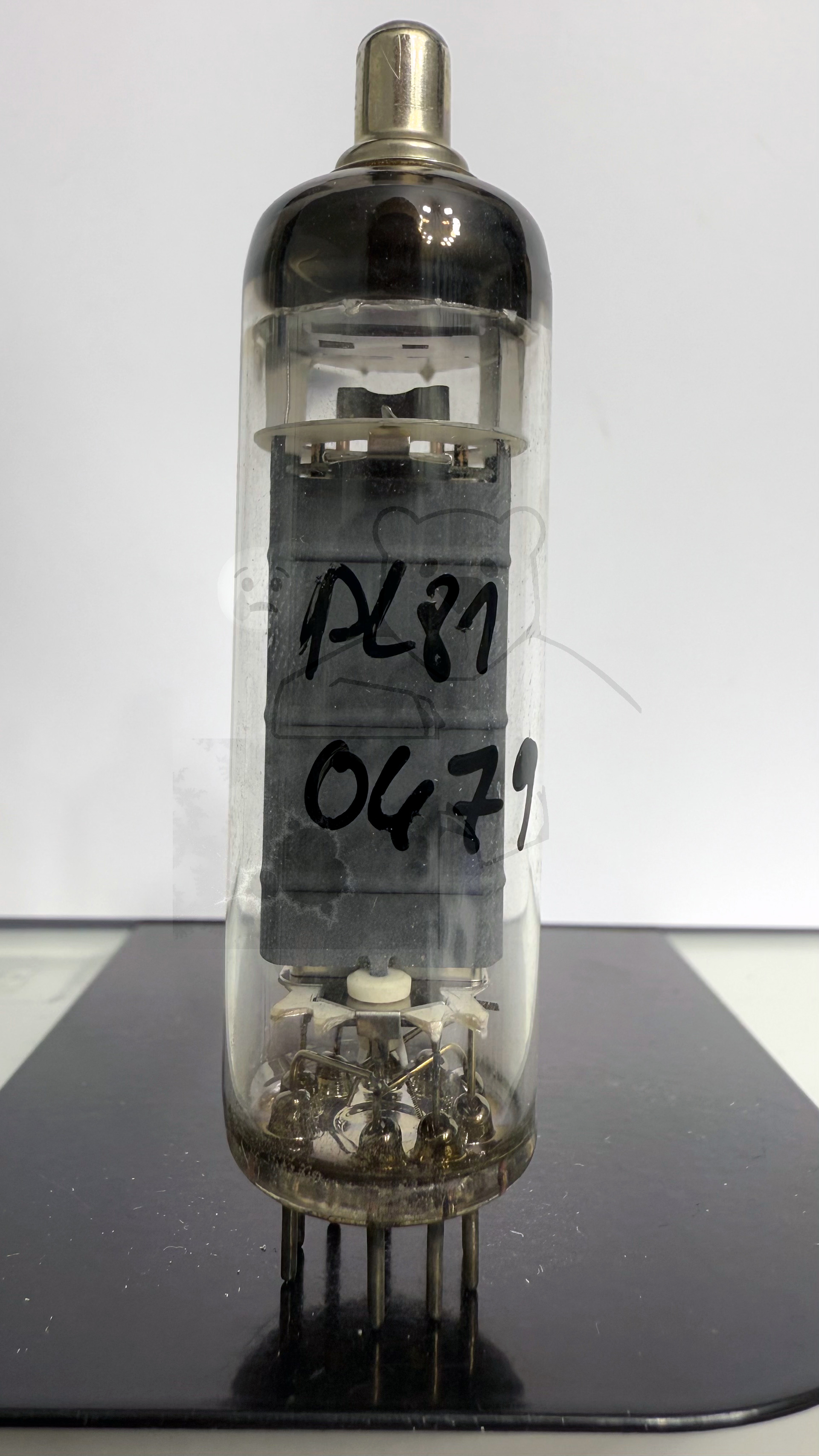 Röhre PL81 #0479 Bild 1