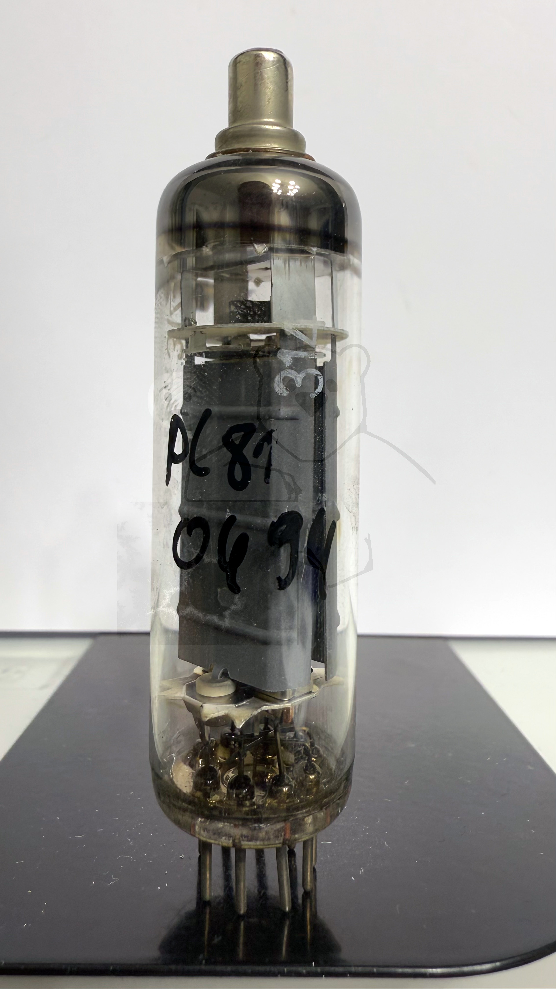 Röhre PL81 #0494 Bild 1