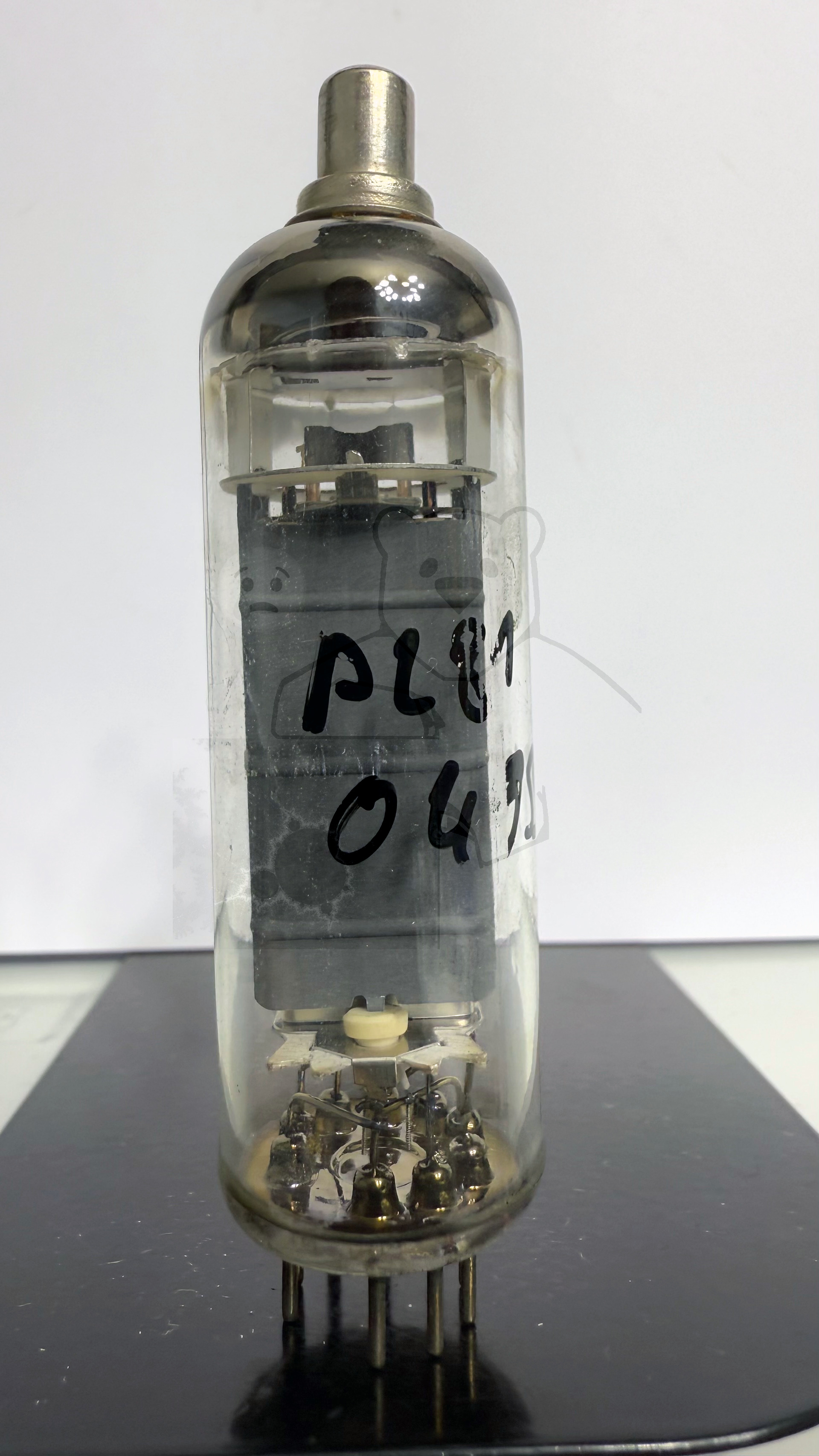 Röhre PL81 #0495 Bild 1