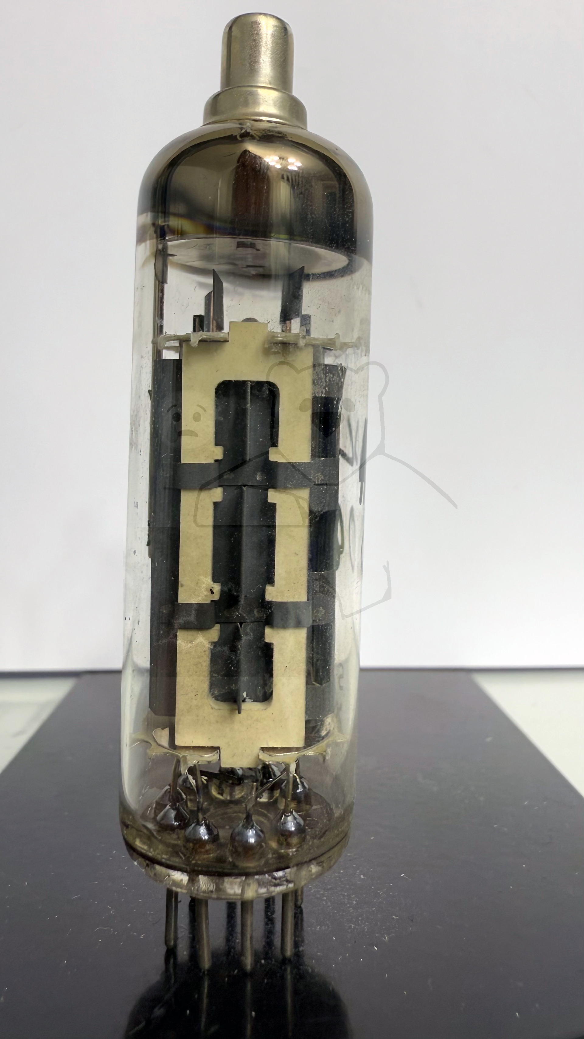 Röhre PL81 #0497 Bild 1