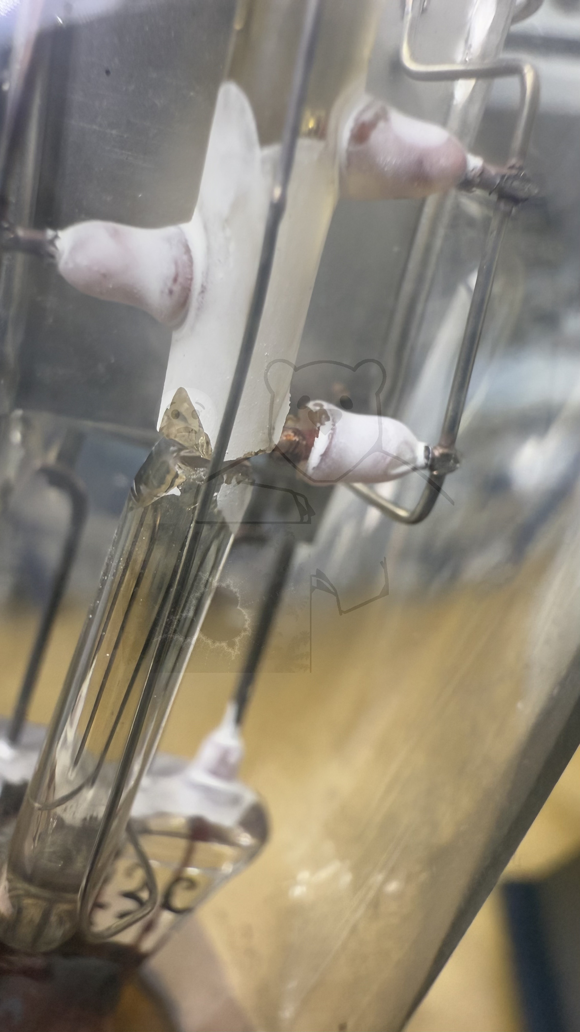 Röhre PTT2 #7528 Bild 10