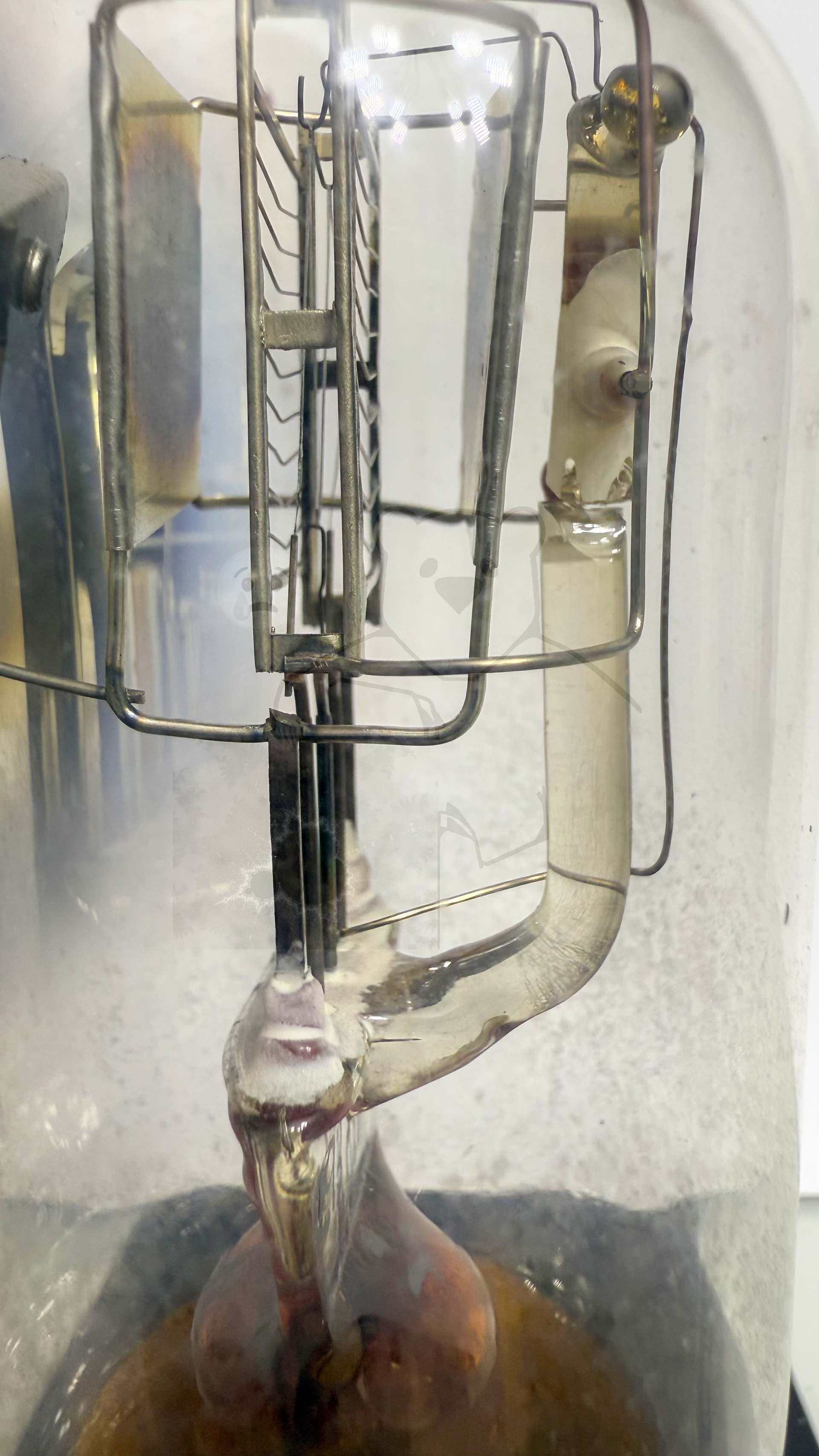 Röhre PTT2 #7528 Bild 5