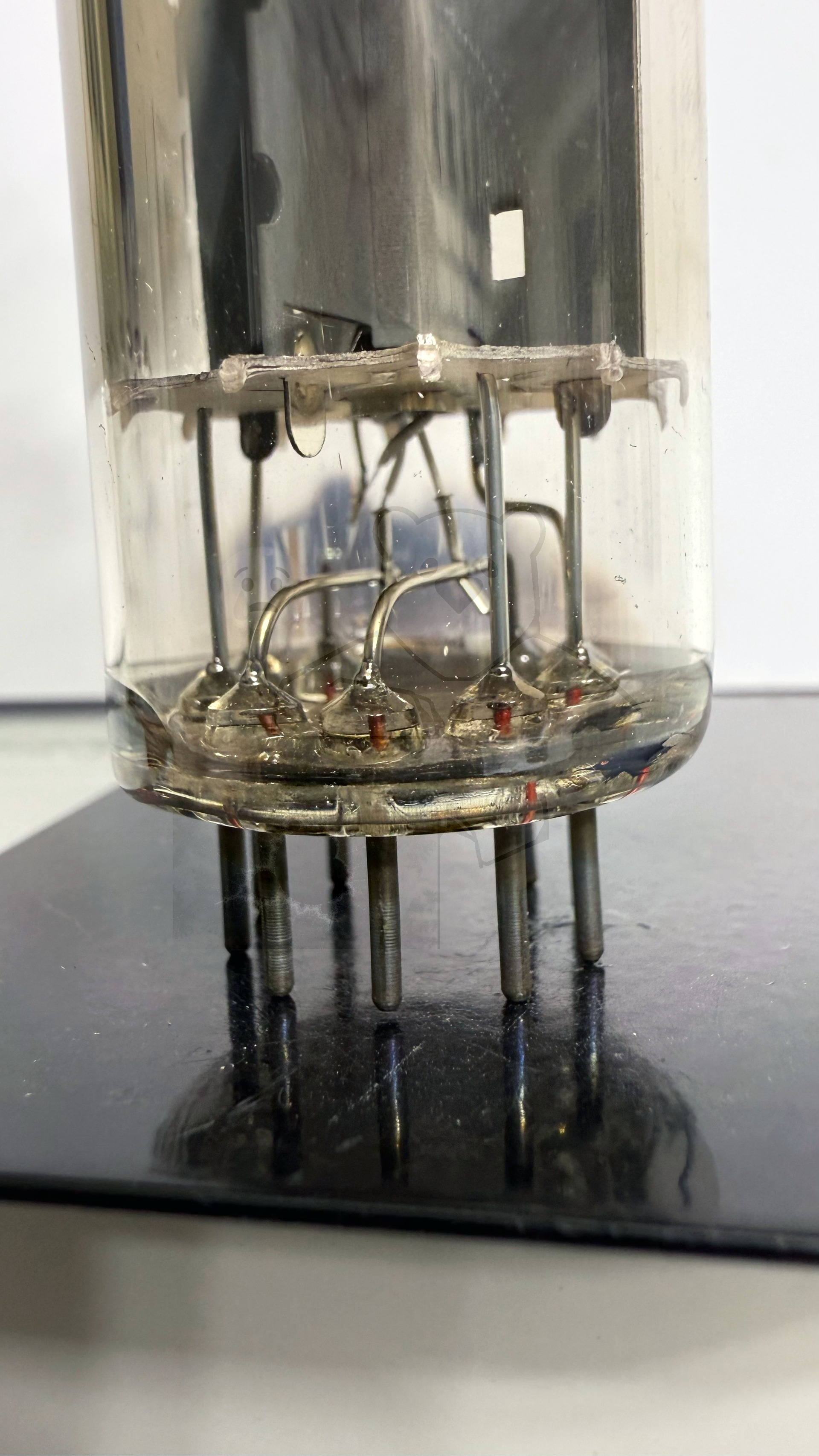 Röhre PY500A #3044 Bild 5