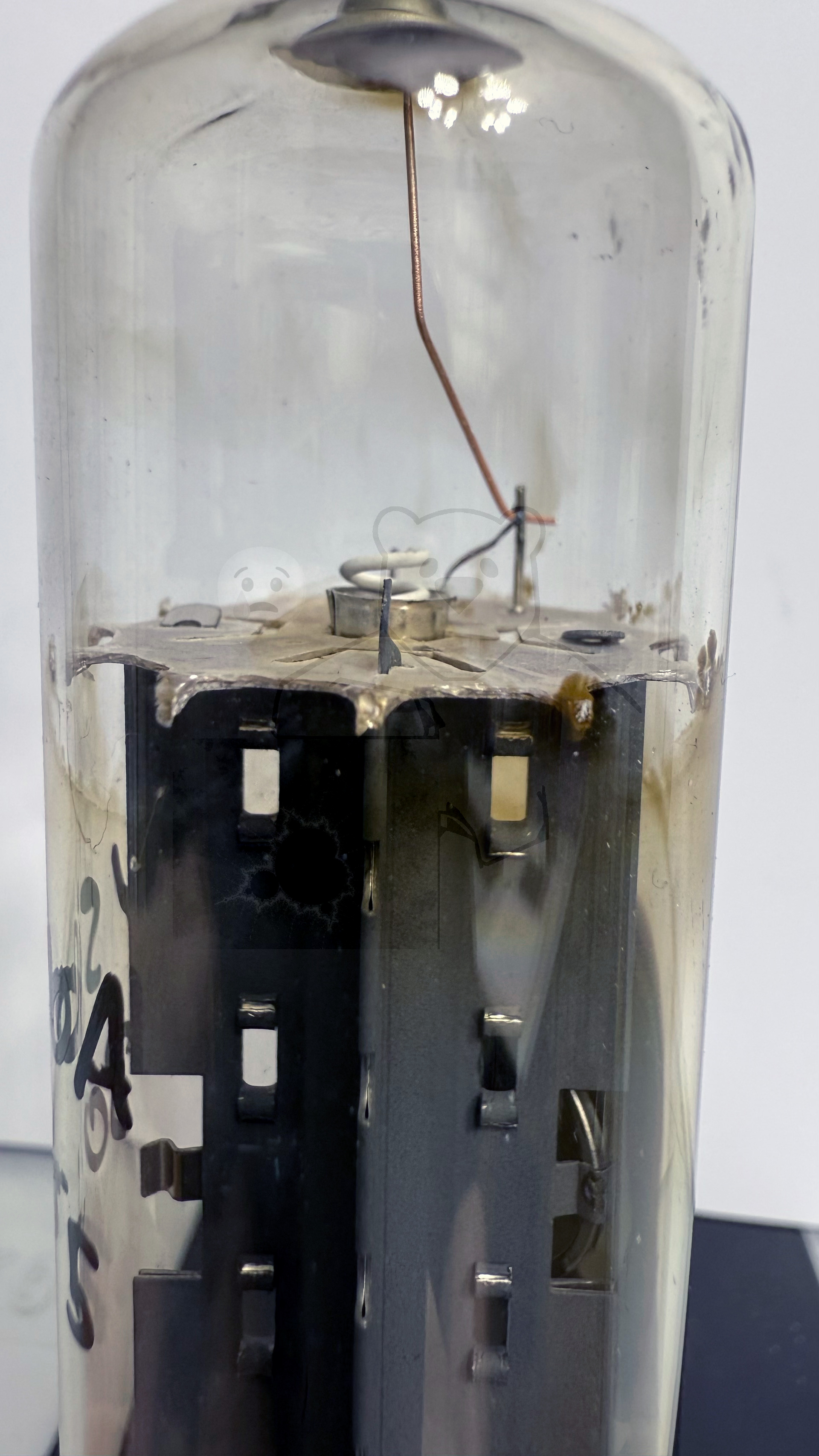 Röhre PY500A #3055 Bild 4