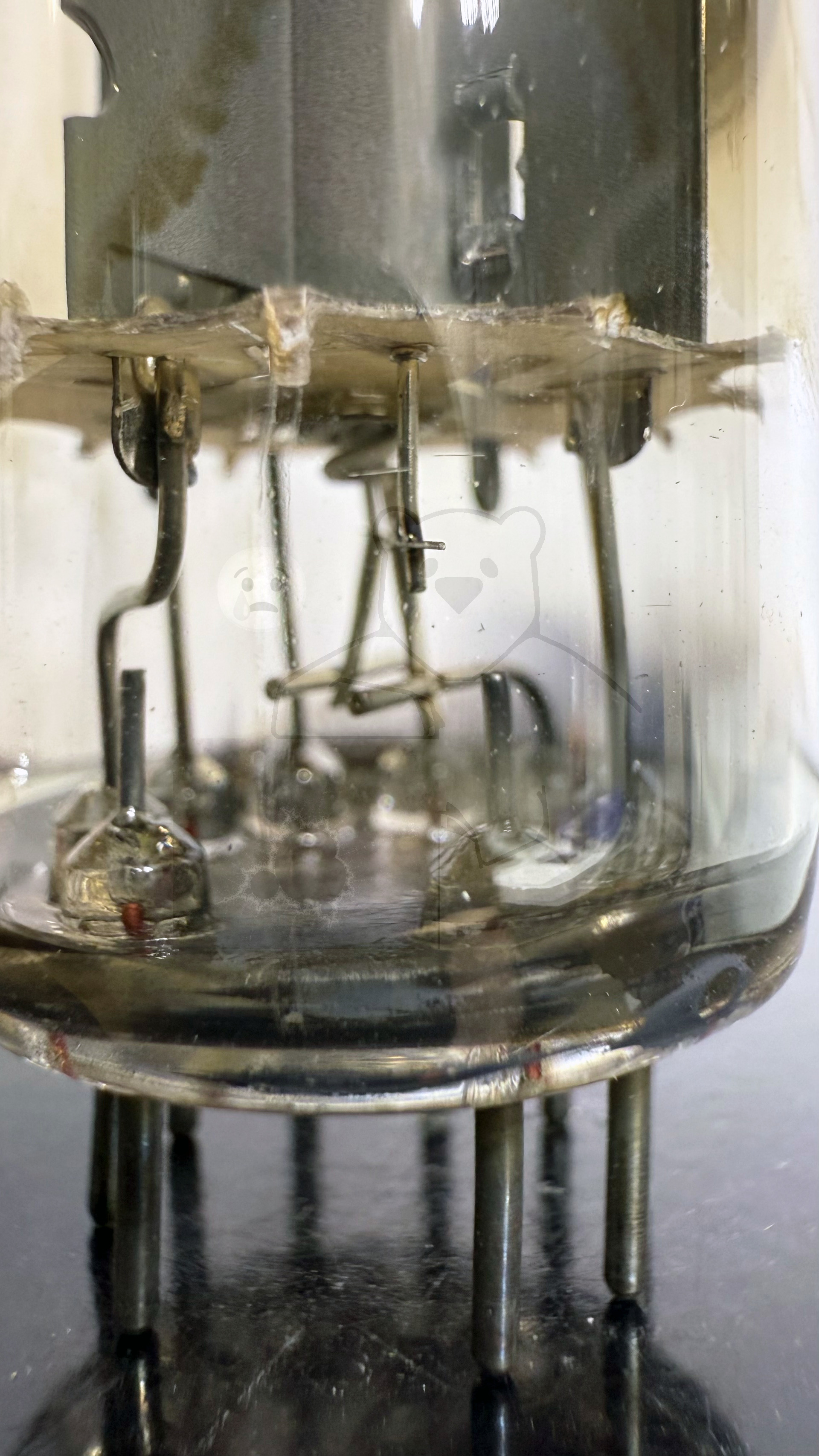 Röhre PY500A #3055 Bild 8