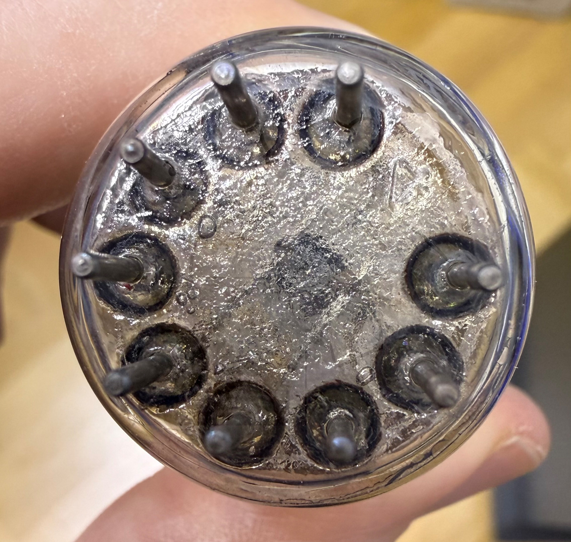 Röhre PY500A #3056 Bild 14