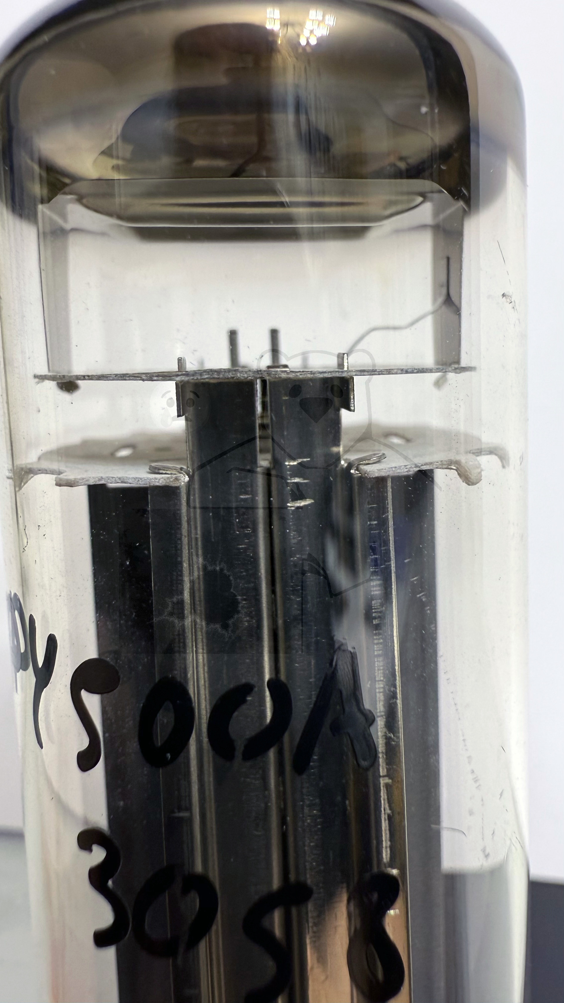 Röhre PY500A #3058 Bild 7