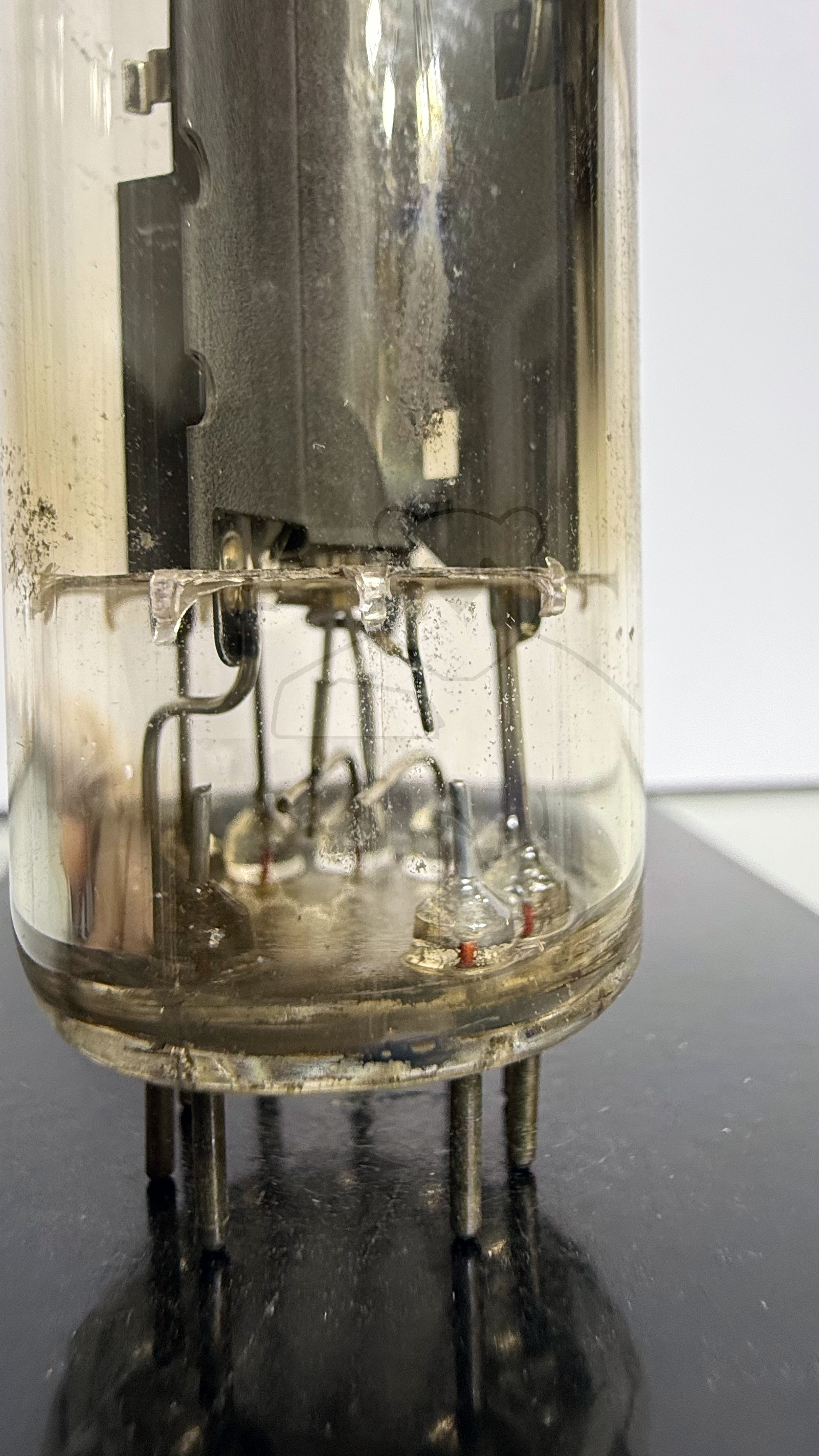 Röhre PY500A #3061 Bild 3