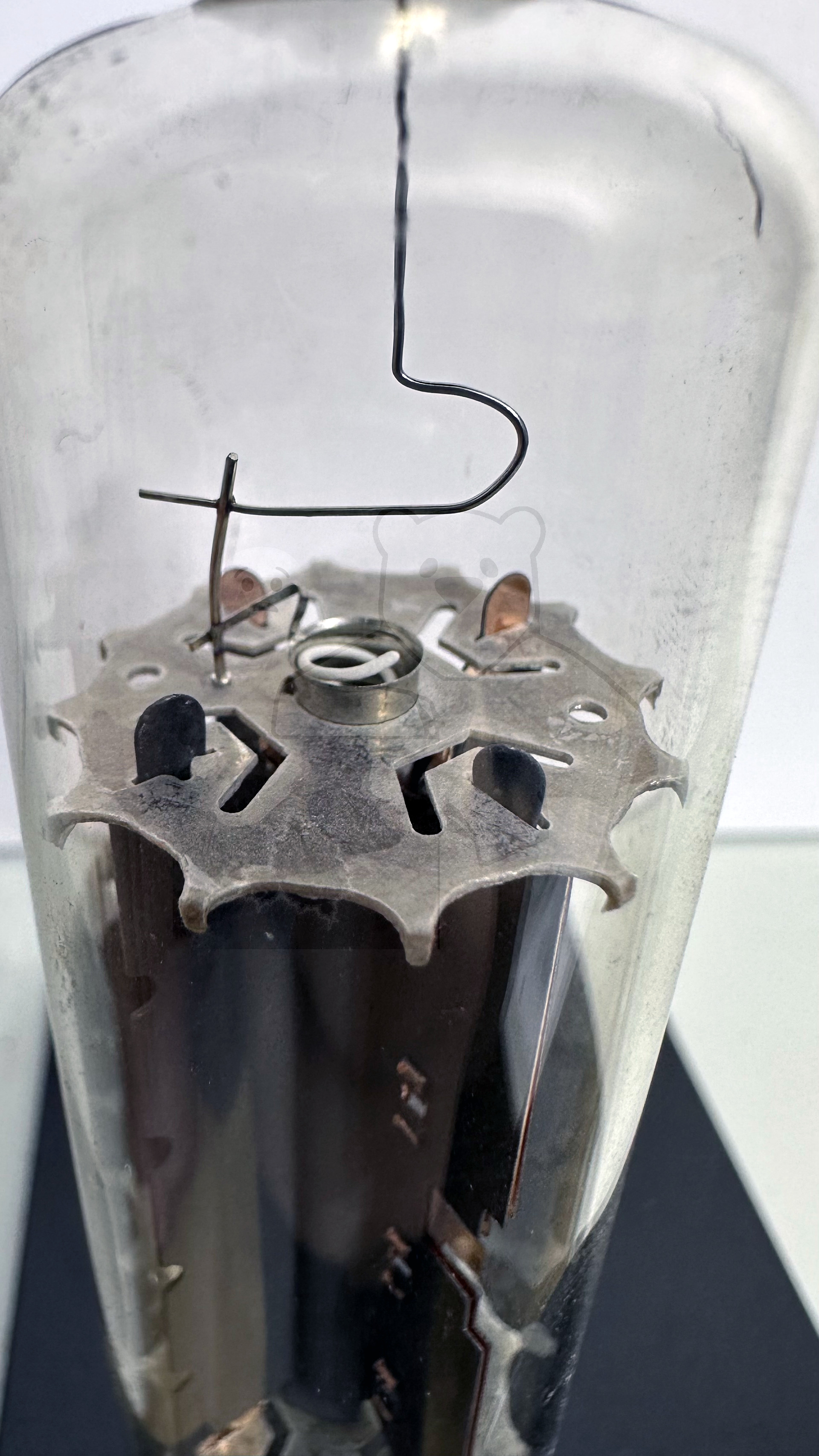 Röhre PY500A #4517 Bild 6