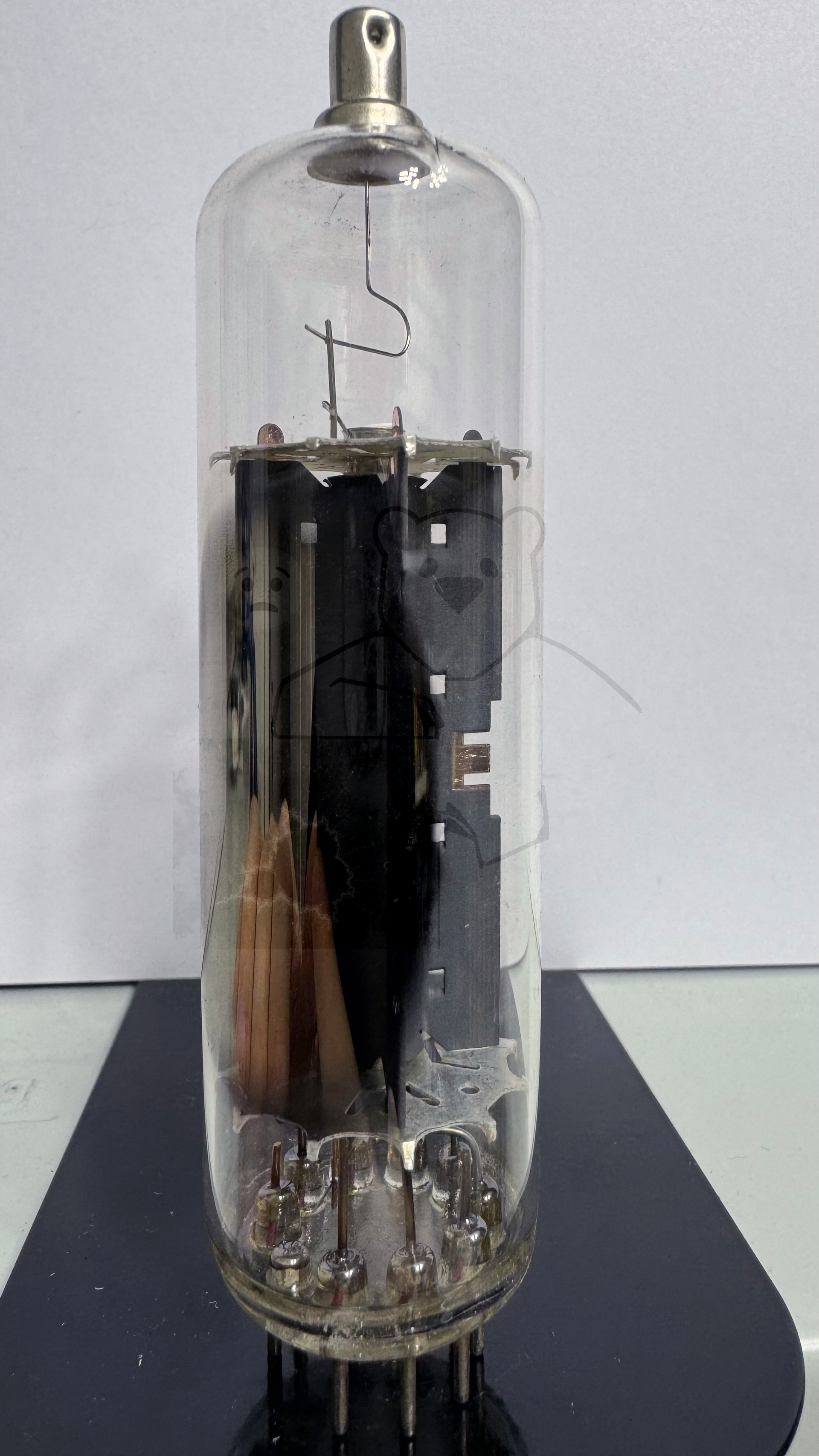 Röhre PY500A #4531 Bild 3