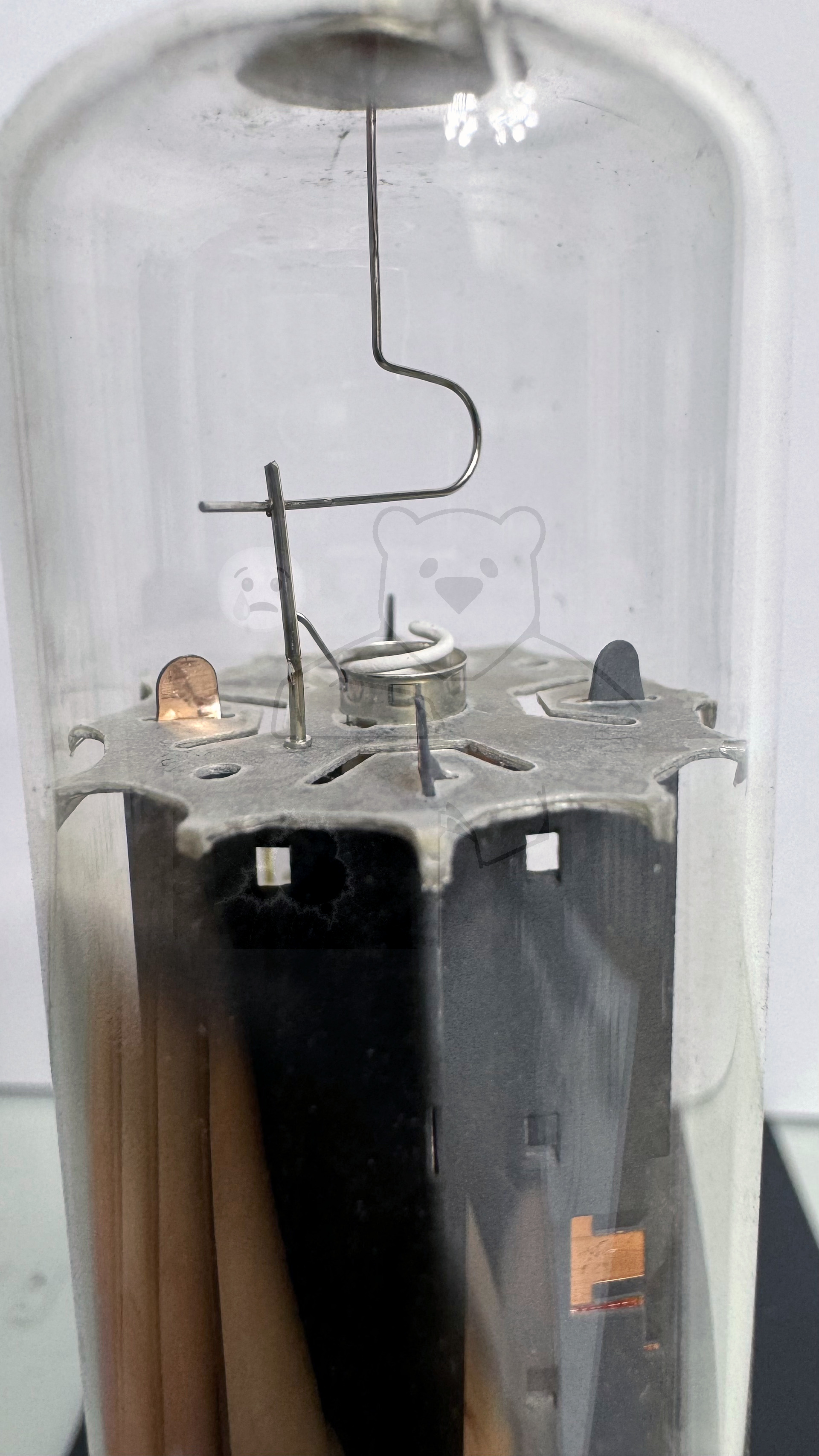 Röhre PY500A #4531 Bild 4