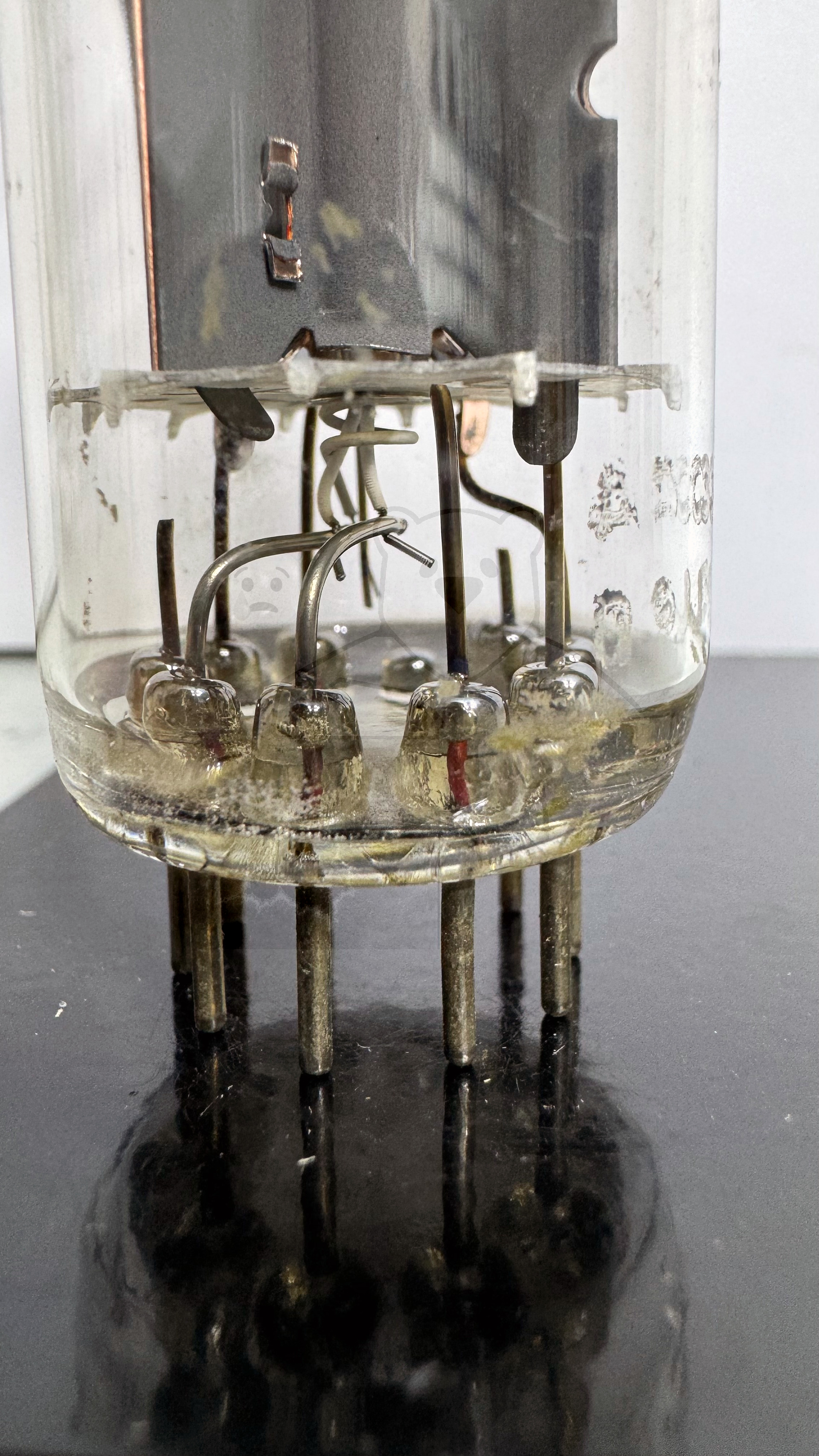 Röhre PY500A #4531 Bild 6