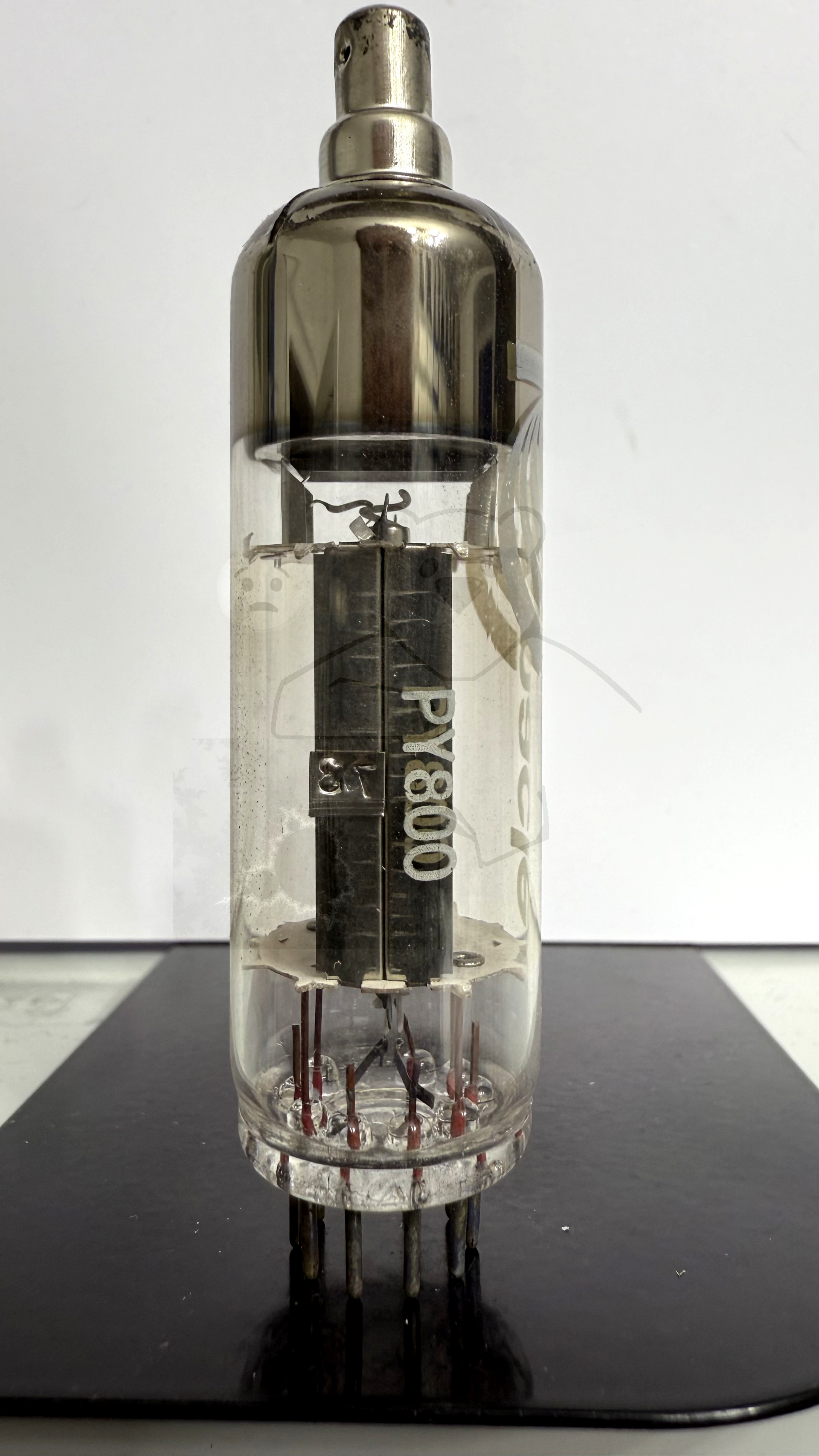 Röhre PY800 #7584 Bild 4