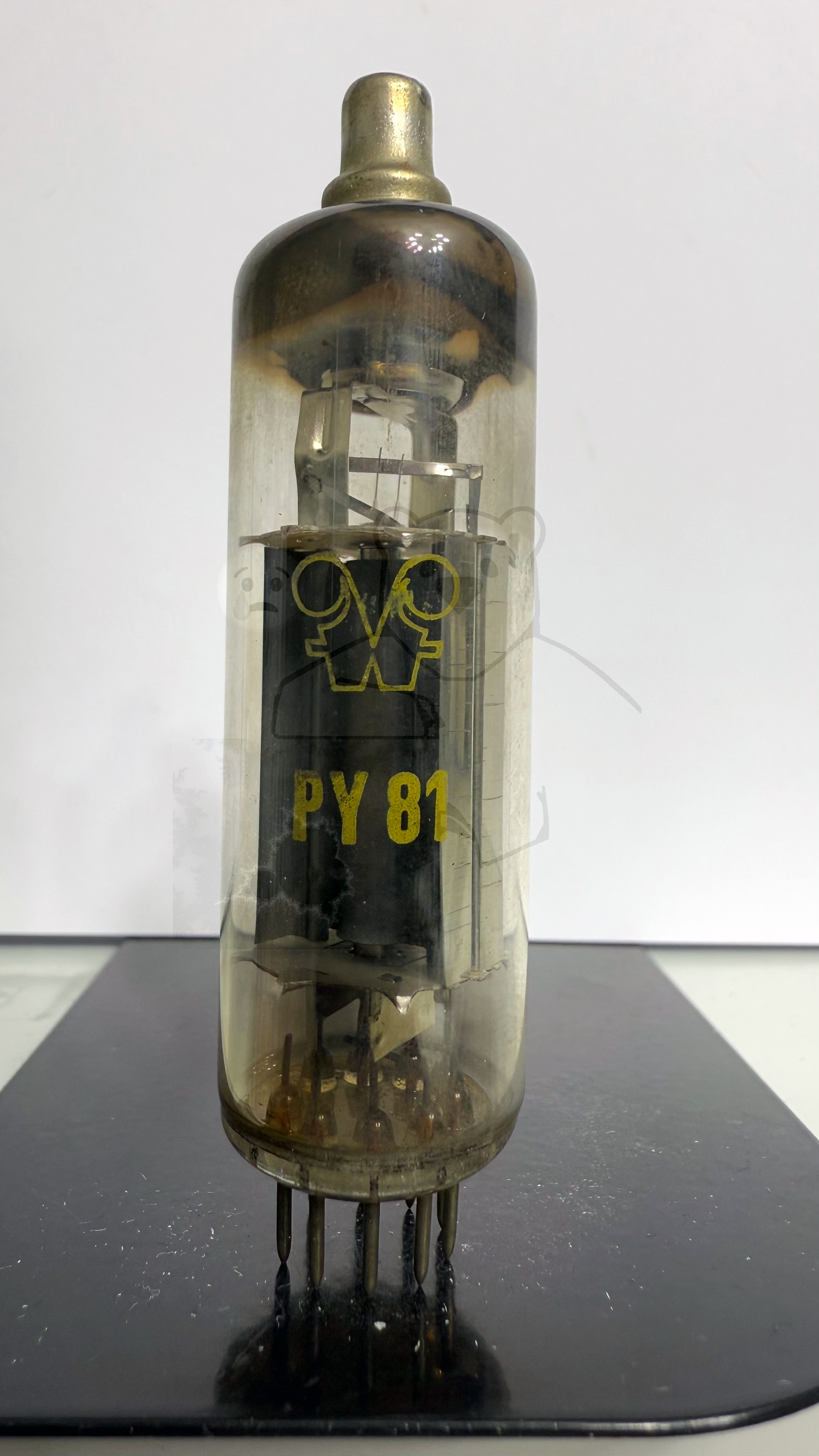 Röhre PY81 #4901 Bild 1