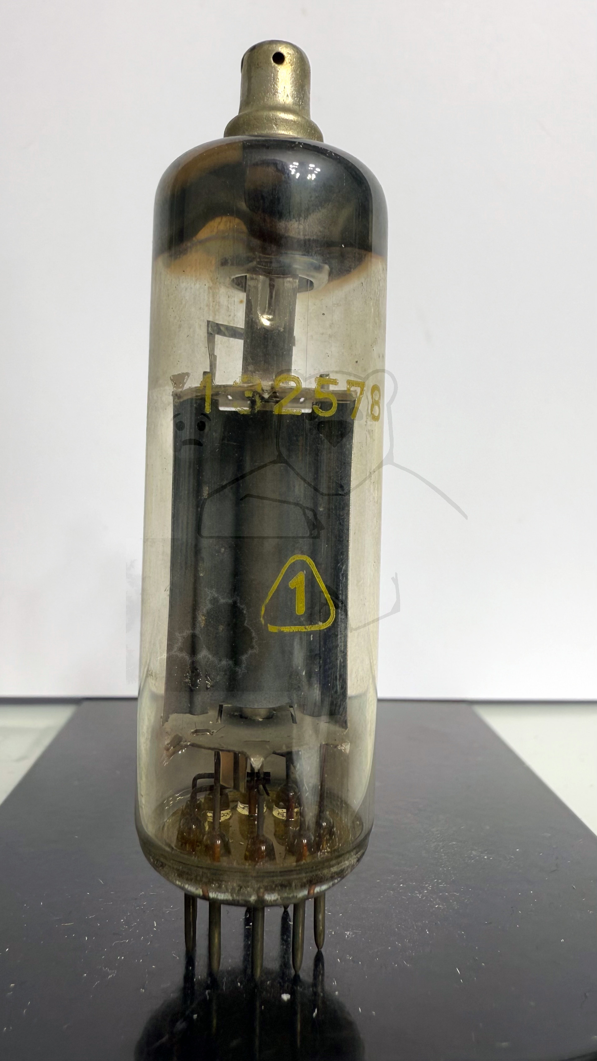 Röhre PY81 #4901 Bild 3