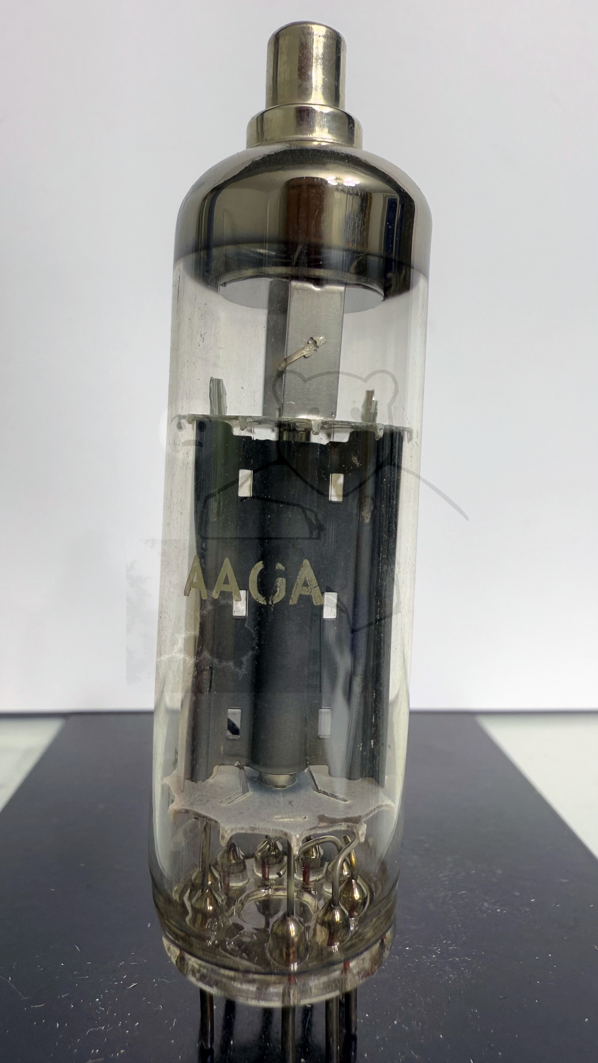 Röhre PY83 #0560 Bild 3
