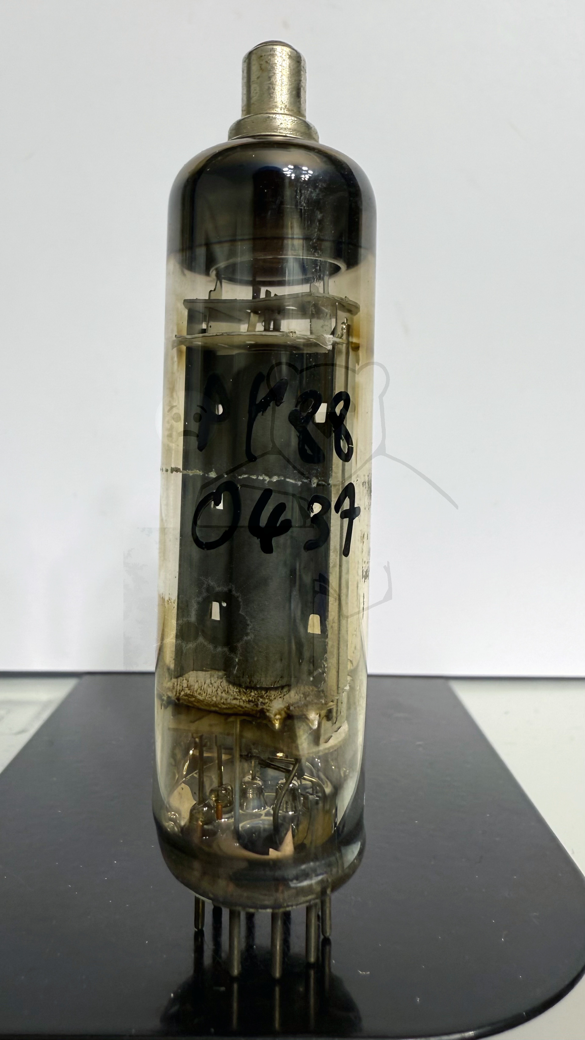 Röhre PY88 #0437 Bild 1