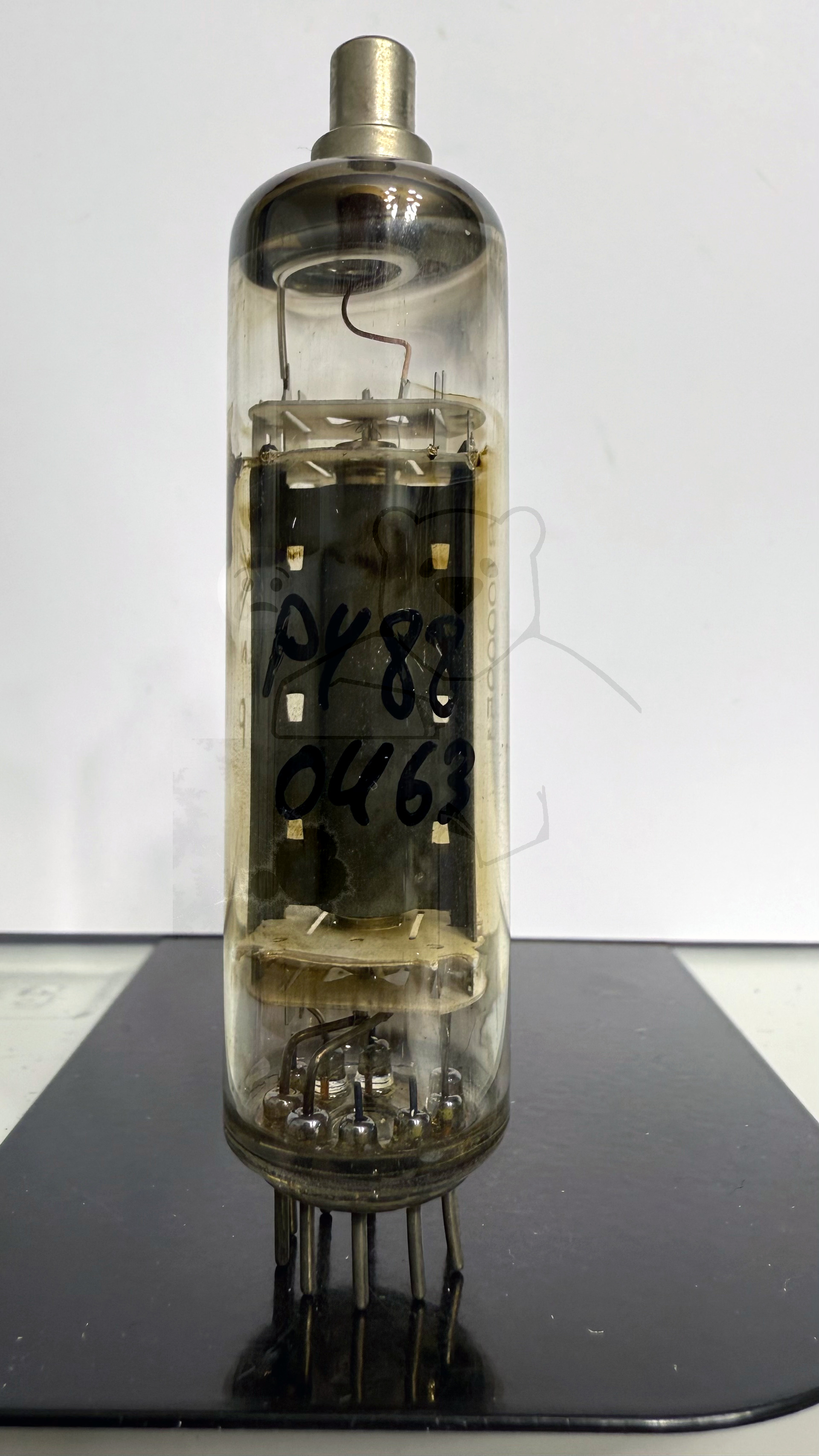 Röhre PY88 #0463 Bild 1