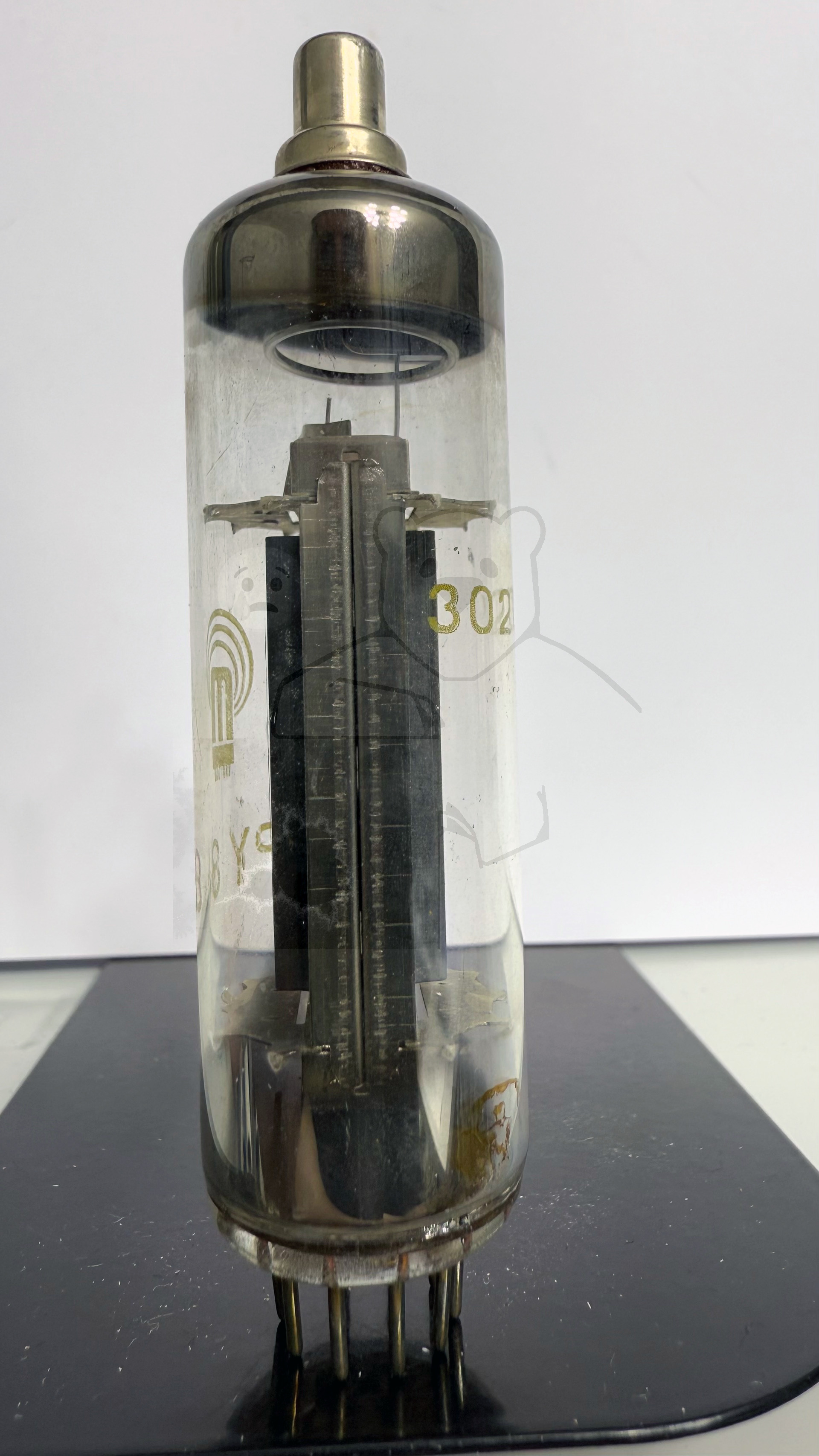 Röhre PY88 #4880 Bild 2